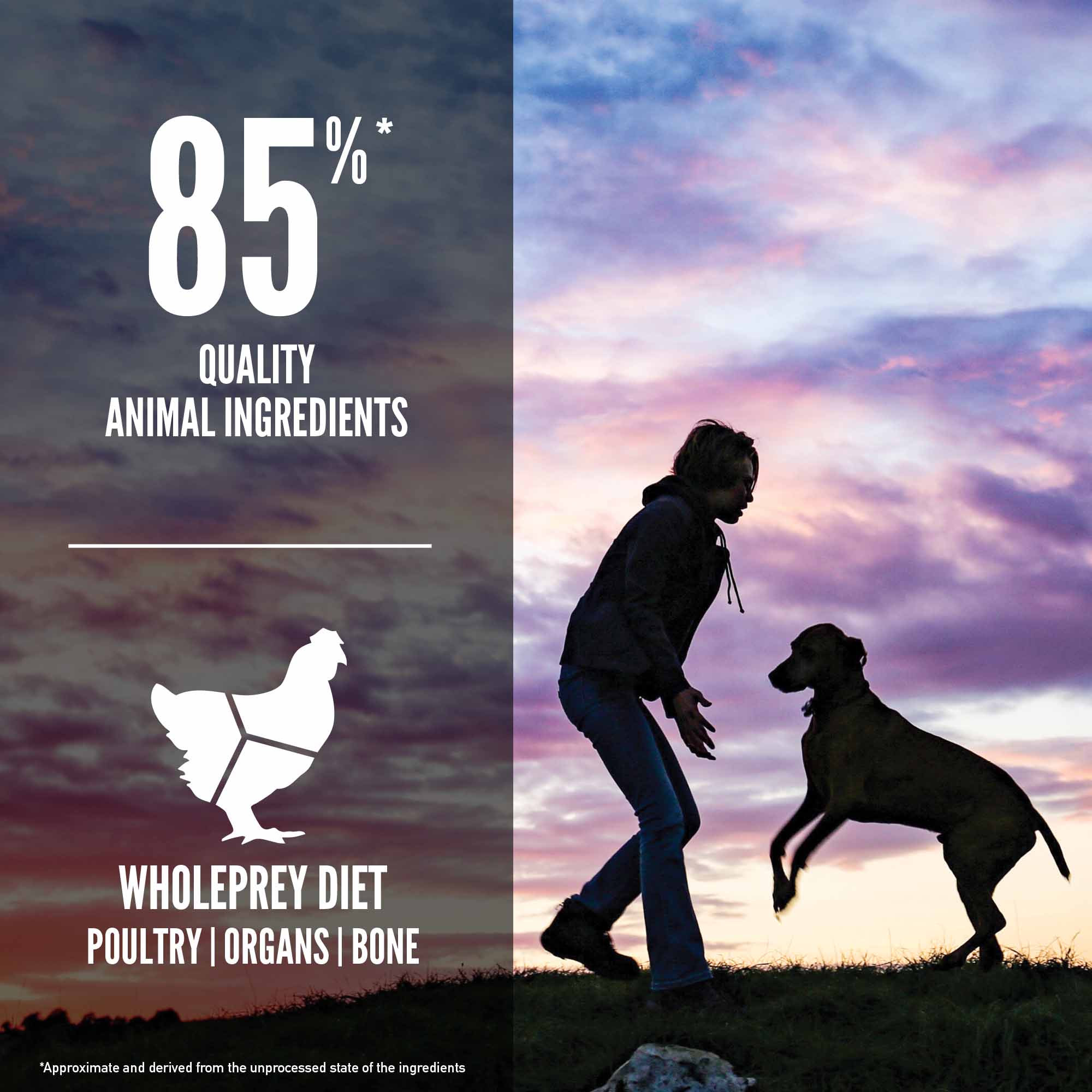 Orijen Puppy Large Breed Grain Free Dry Dog Food - Image 6