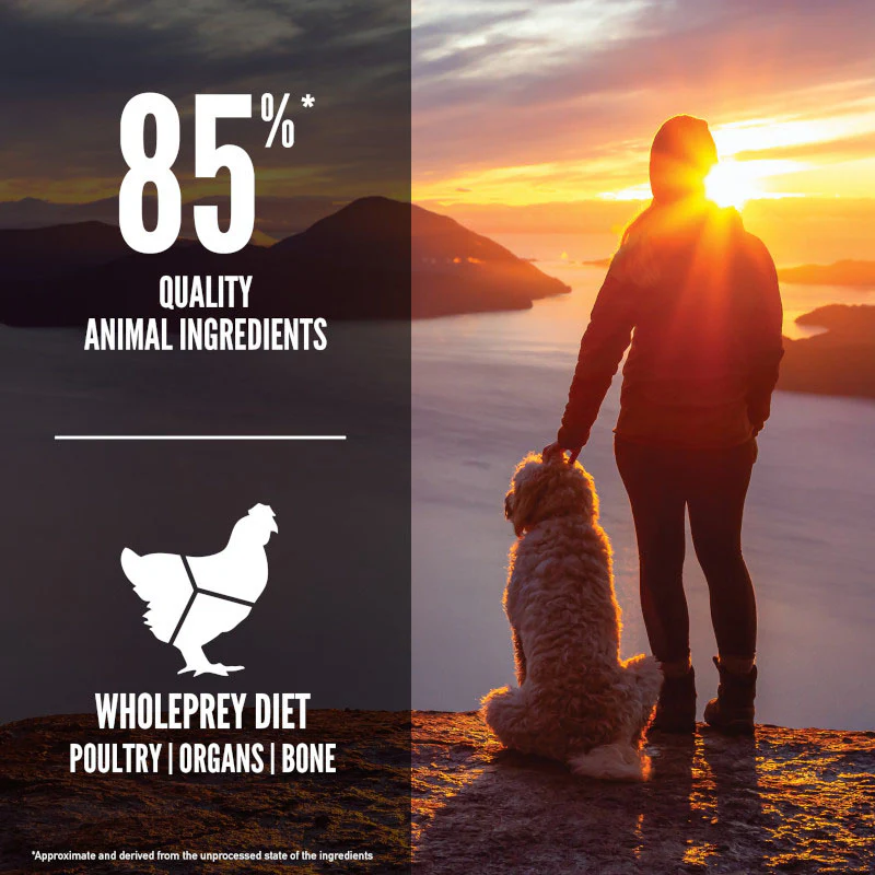 Orijen Senior Grain Free Dry Dog Food - Image 7
