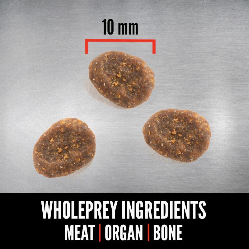 Orijen Six Fish Grain Free Dry Cat Food - Image 7
