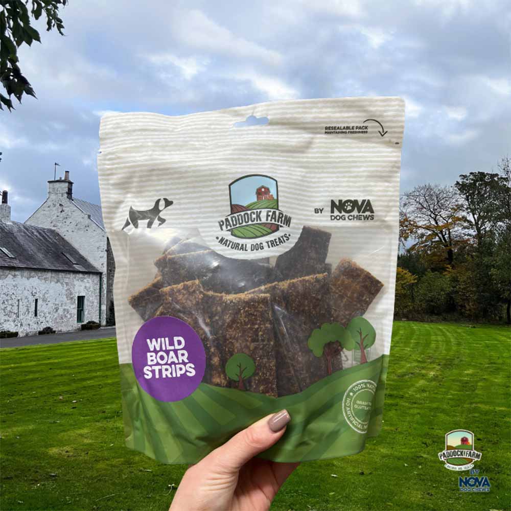Paddock Farm 100% Wild Boar Strips Dog Chew - 500g - Image 2