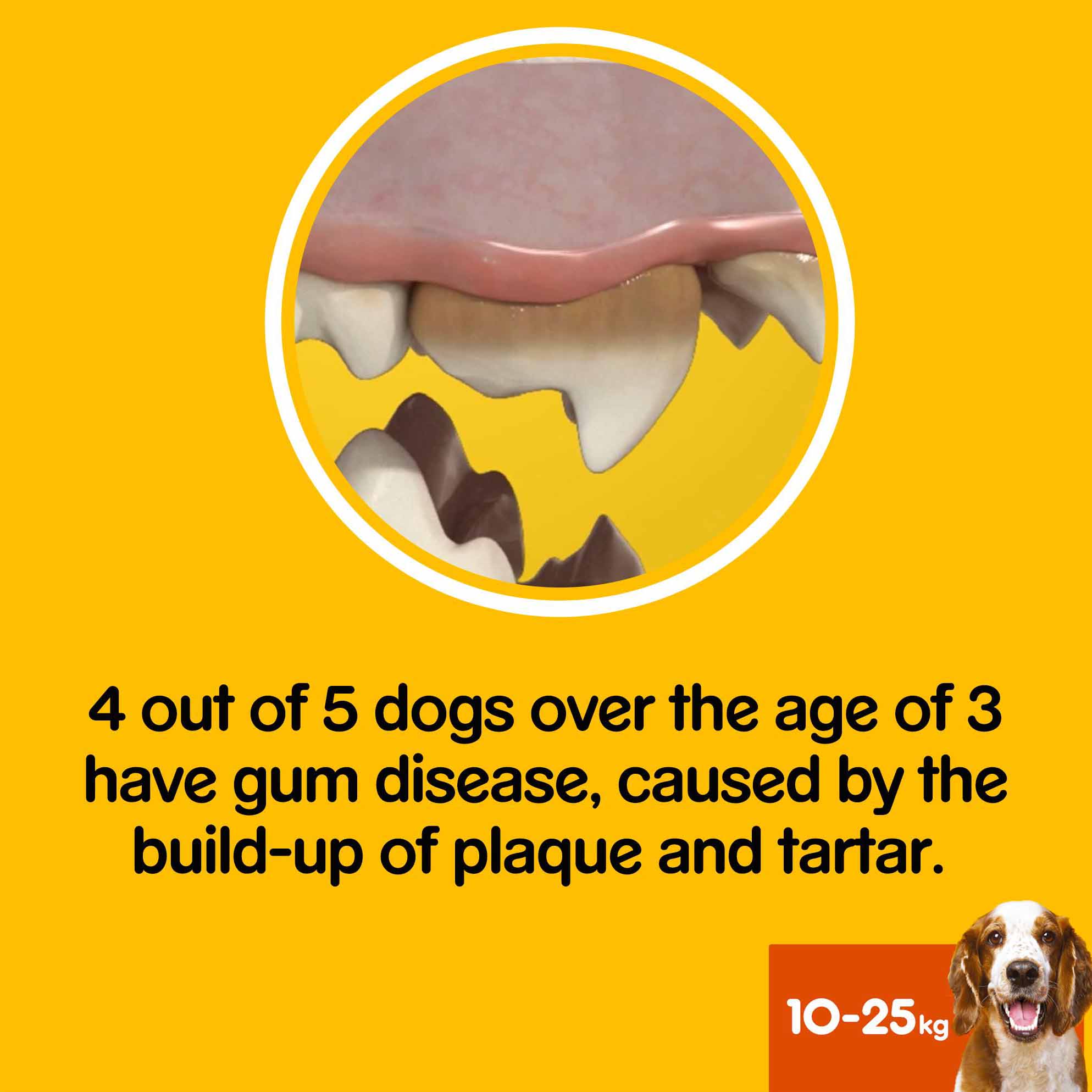 Pedigree Dentastix Advanced Low Fat Medium Dog Dental Treat - 1 Chew - Image 5