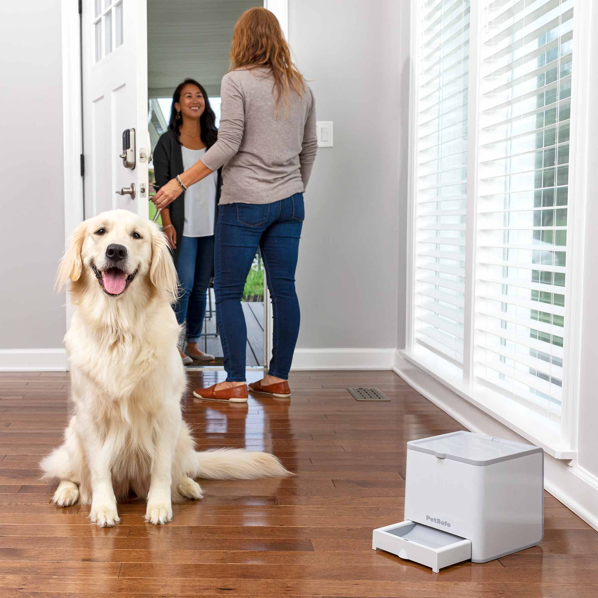 PetSafe Teach & Treat Remote Reward Trainer - Image 14