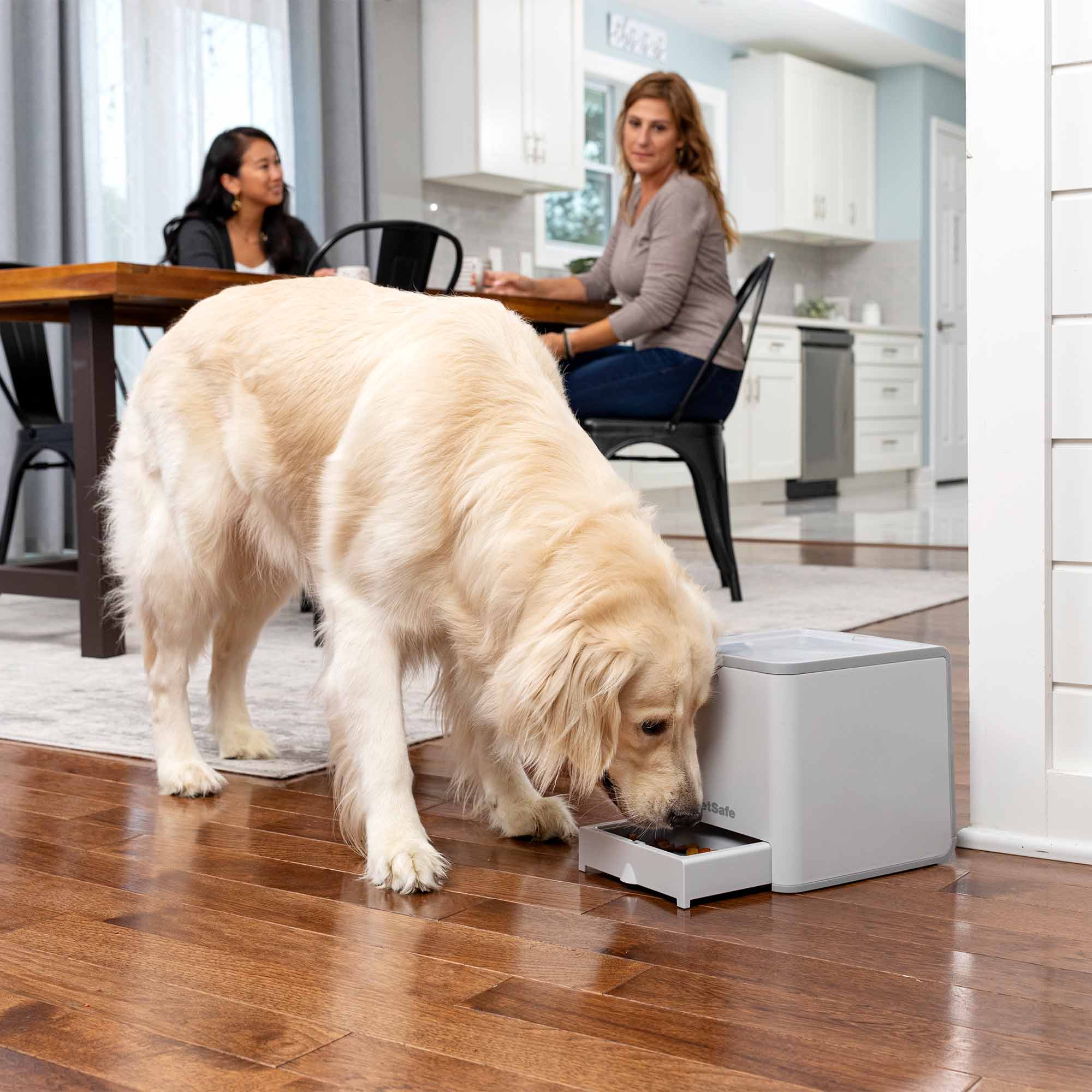 PetSafe Teach & Treat Remote Reward Trainer - Image 15