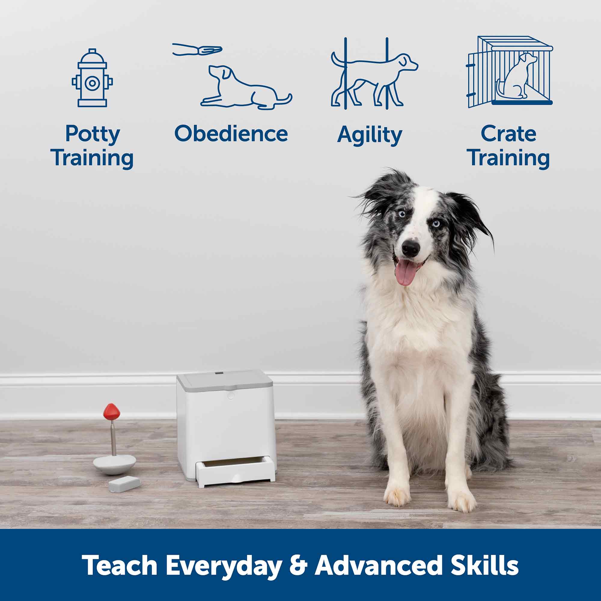 PetSafe Teach & Treat Remote Reward Trainer - Image 3