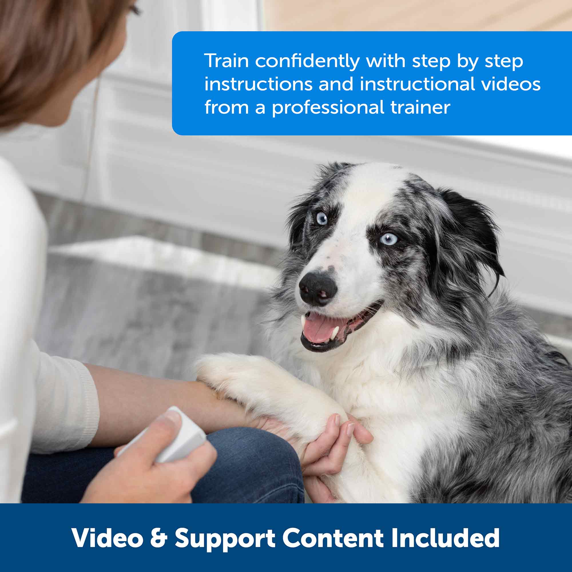 PetSafe Teach & Treat Remote Reward Trainer - Image 4
