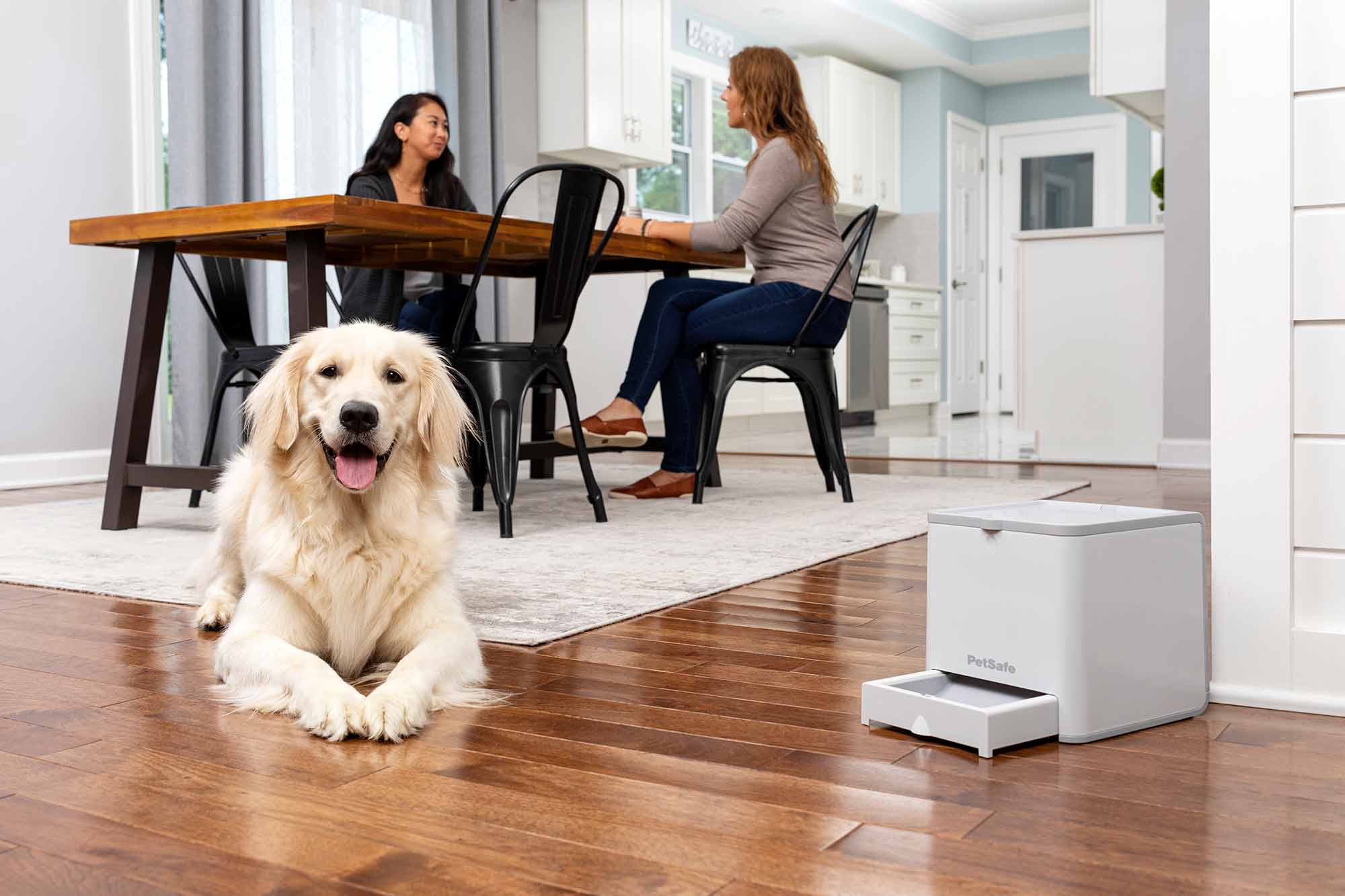 PetSafe Teach & Treat Remote Reward Trainer - Image 7
