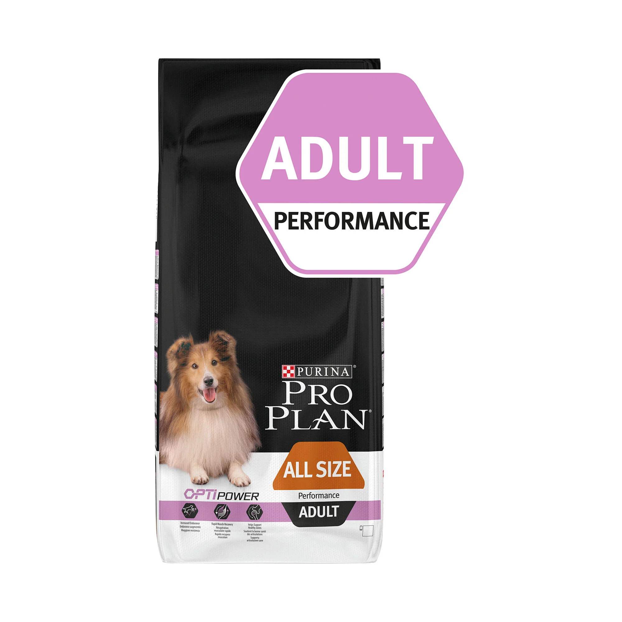 PRO PLAN All Sizes Performance Adult Dry Dog Food - Chicken - Image 10