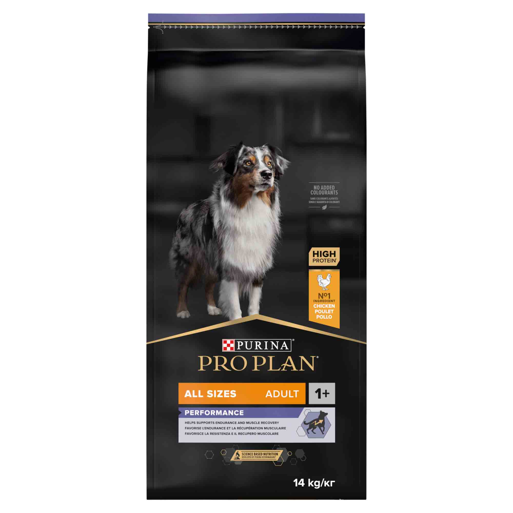 PRO PLAN All Sizes Performance Adult Dry Dog Food - Chicken - Image 6