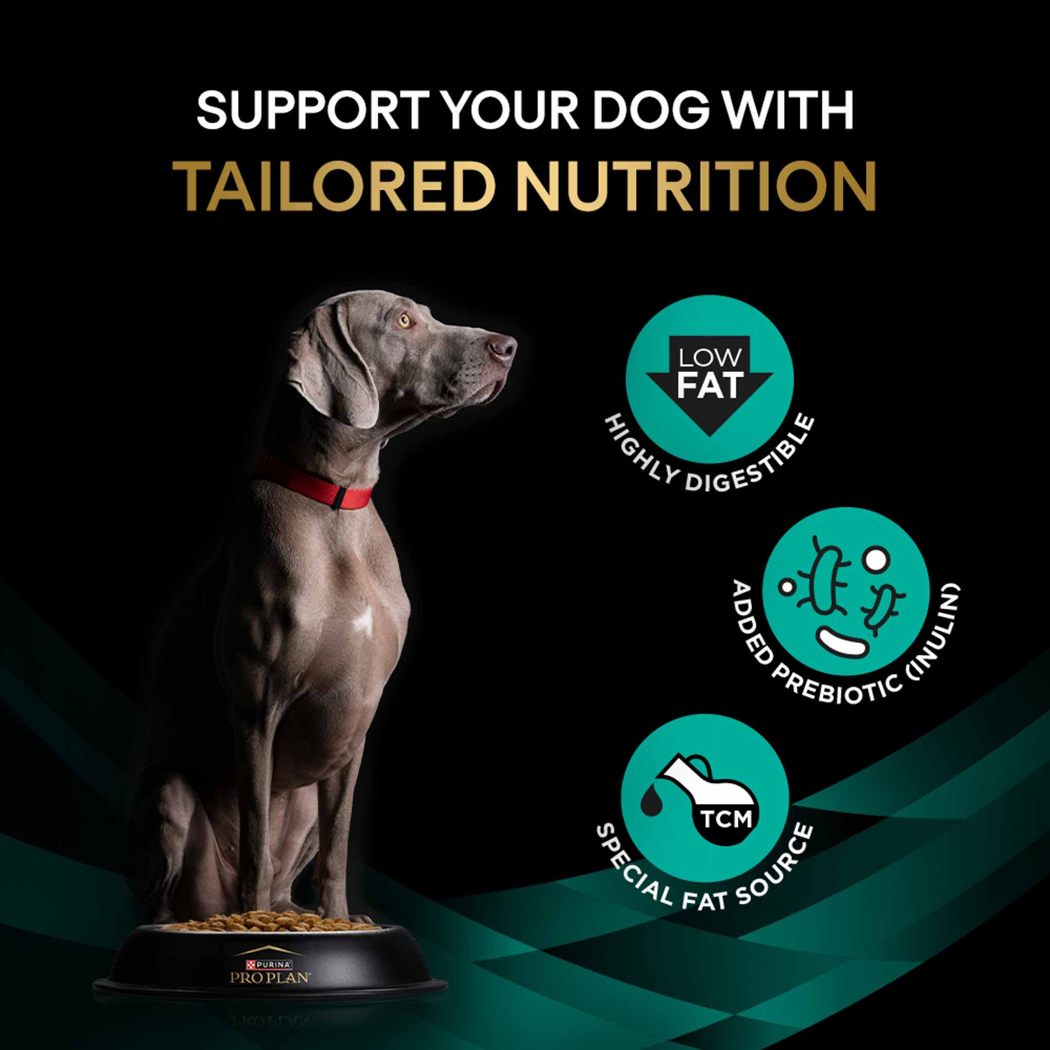 PRO PLAN® Veterinary Diets EN Gastrointestinal Low Fat Dry Dog Food - Image 7