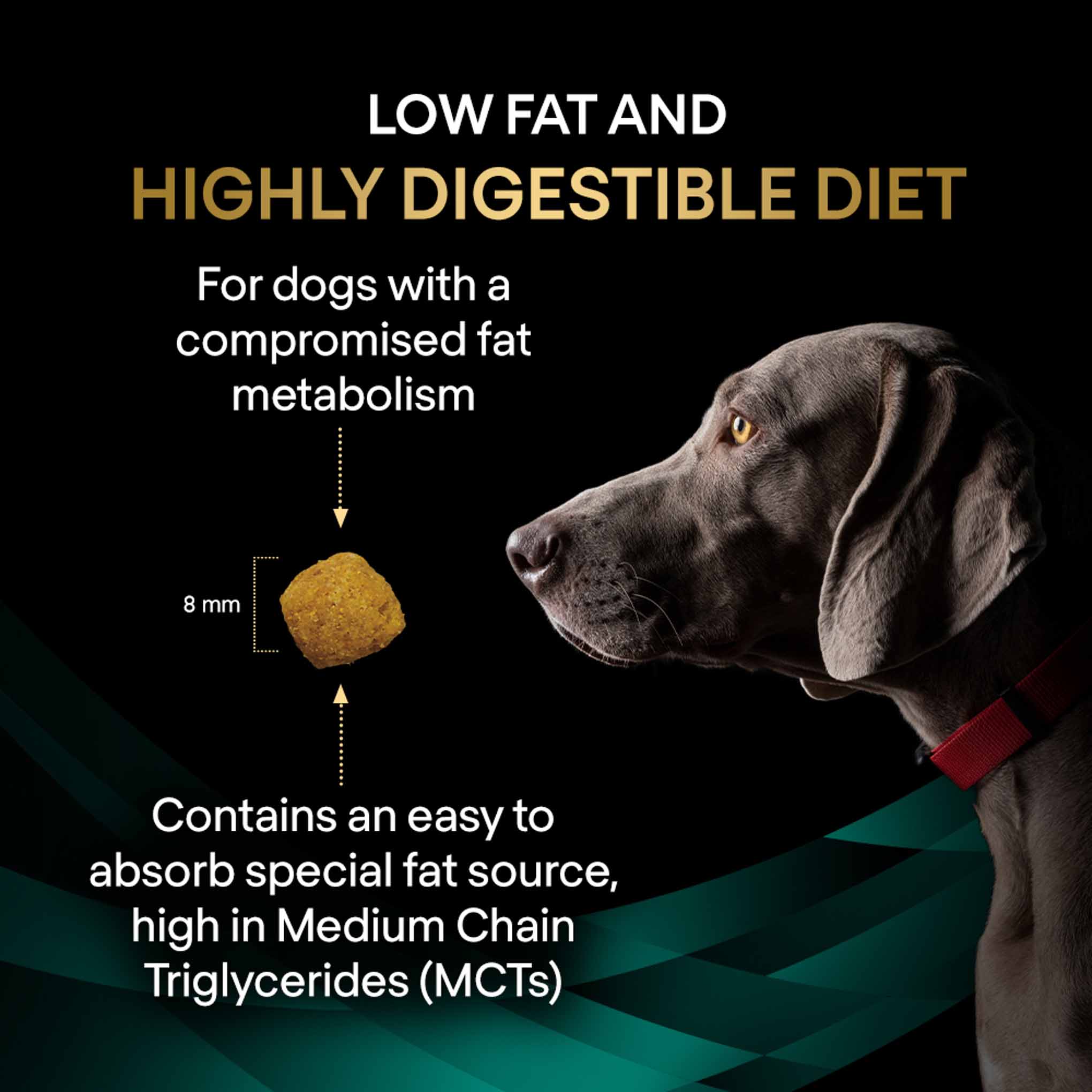 PRO PLAN® Veterinary Diets EN Gastrointestinal Low Fat Dry Dog Food - Image 8