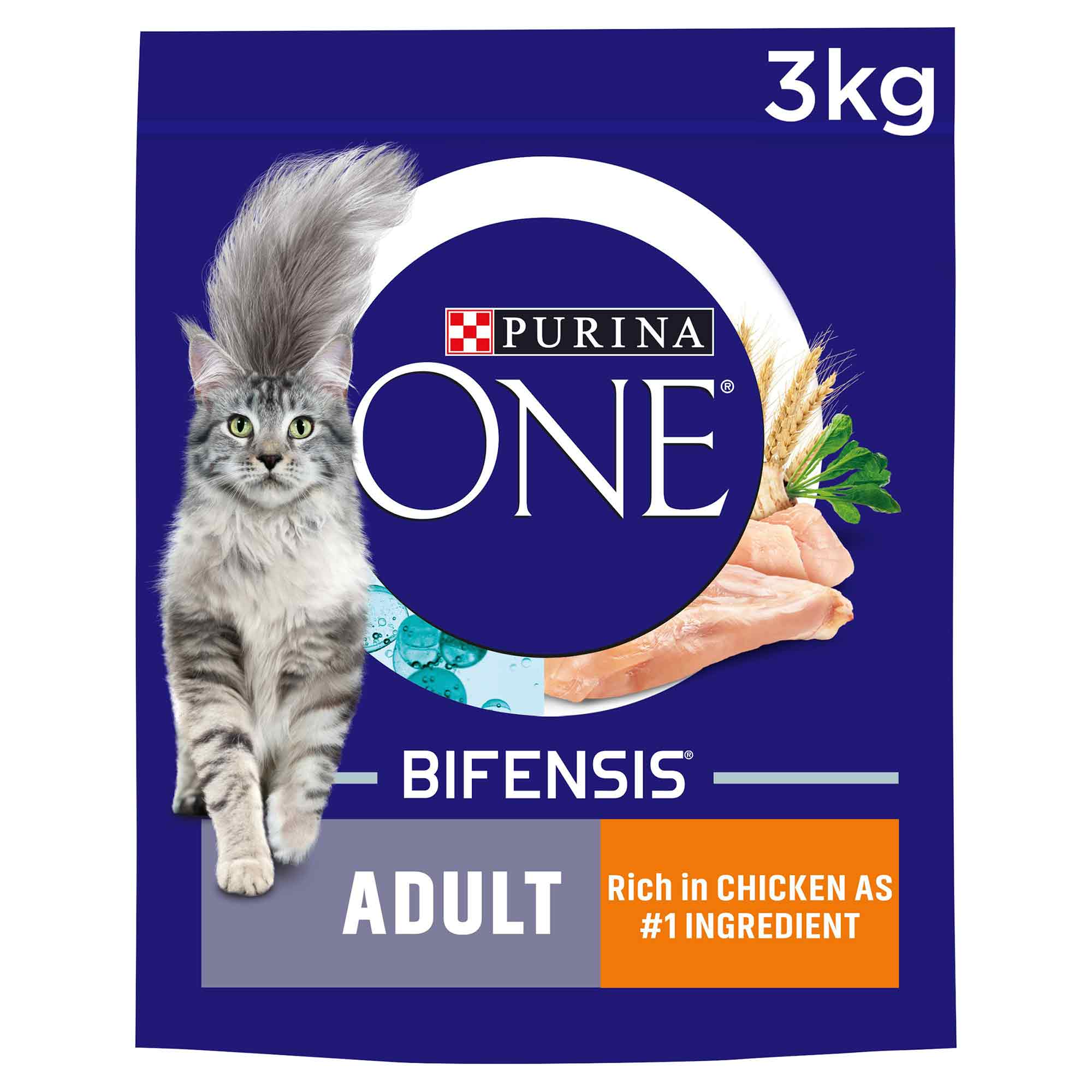 Purina ONE Adult Dry Cat Food - Wholegrains - Salmon