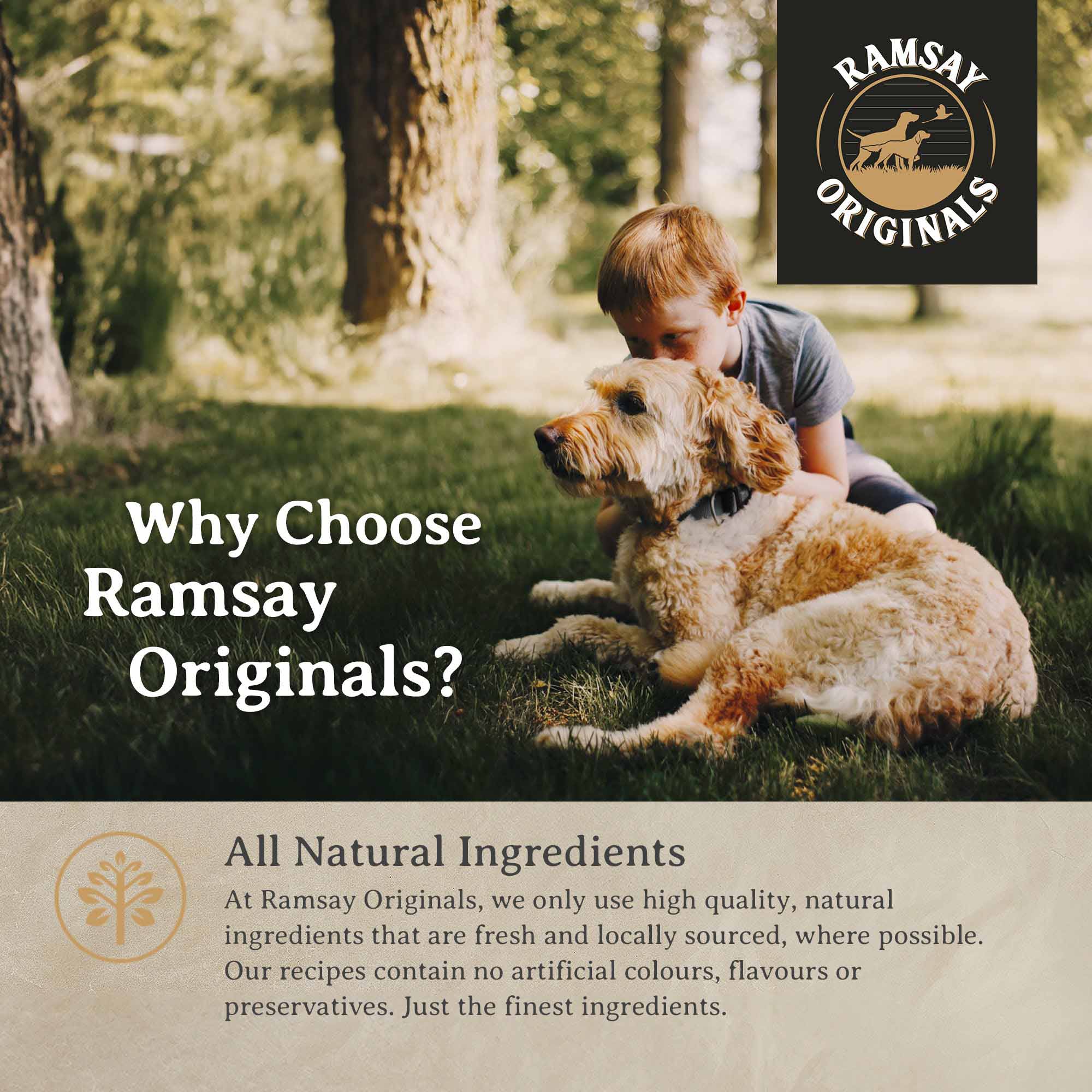 Ramsay Originals Grain Free Adult Large Breed Dry Dog Food - Chicken & Potato - Image 6