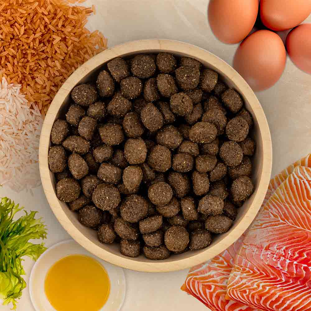 Ramsay Originals Adult Dry Dog Food - Salmon & Rice - Image 2