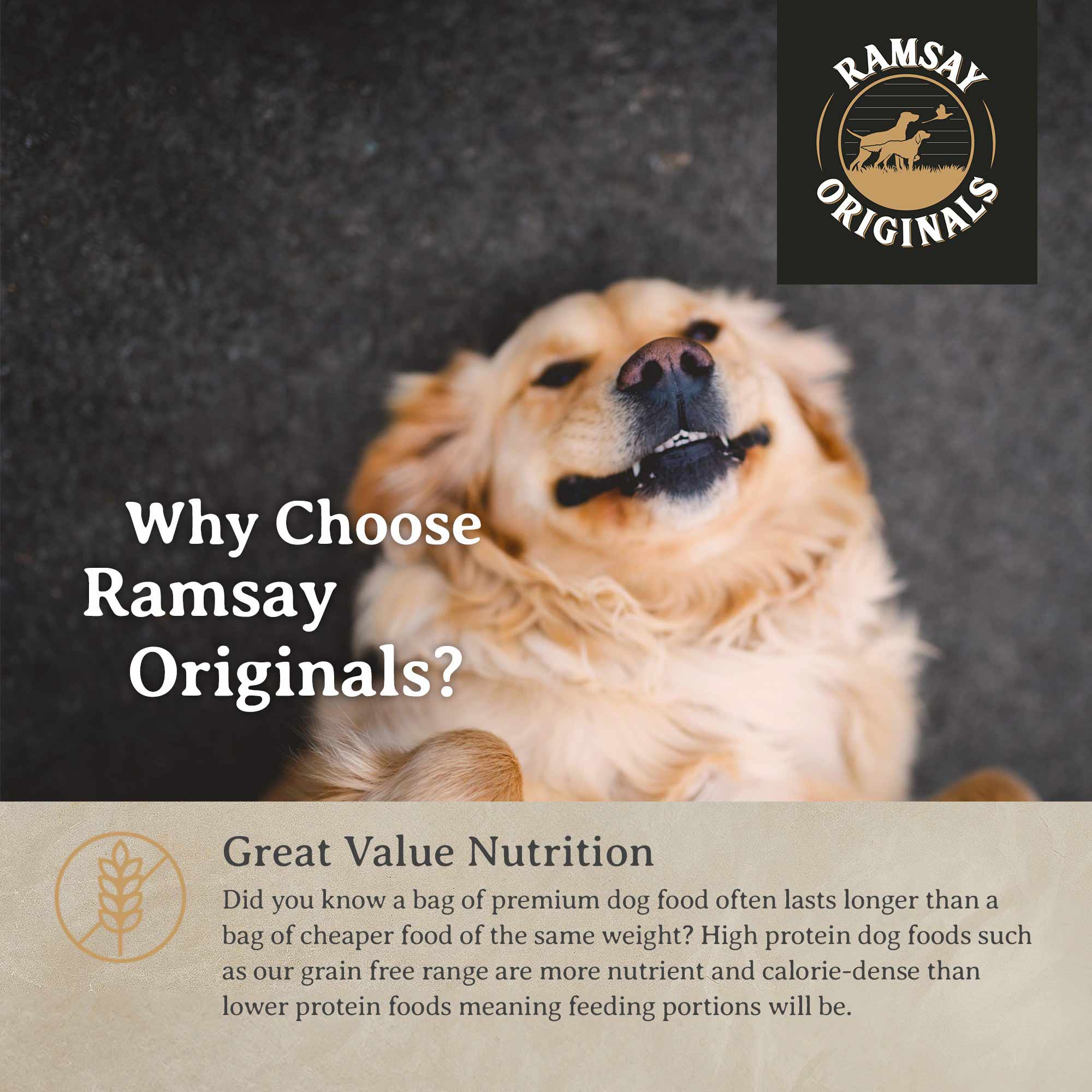 Ramsay Originals Grain Free Senior Dry Dog Food - Chicken & Potato - Image 10