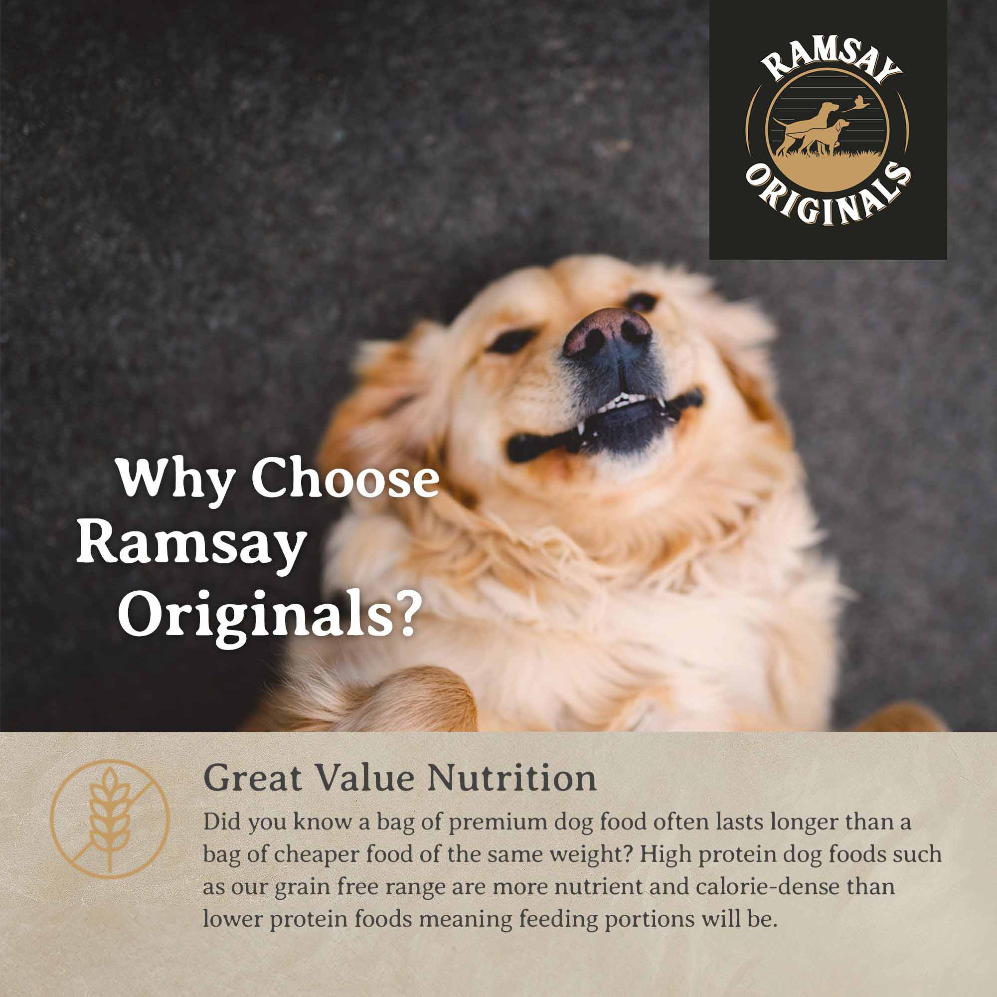 Ramsay Originals Senior Dry Dog Food - Chicken & Rice - Image 7