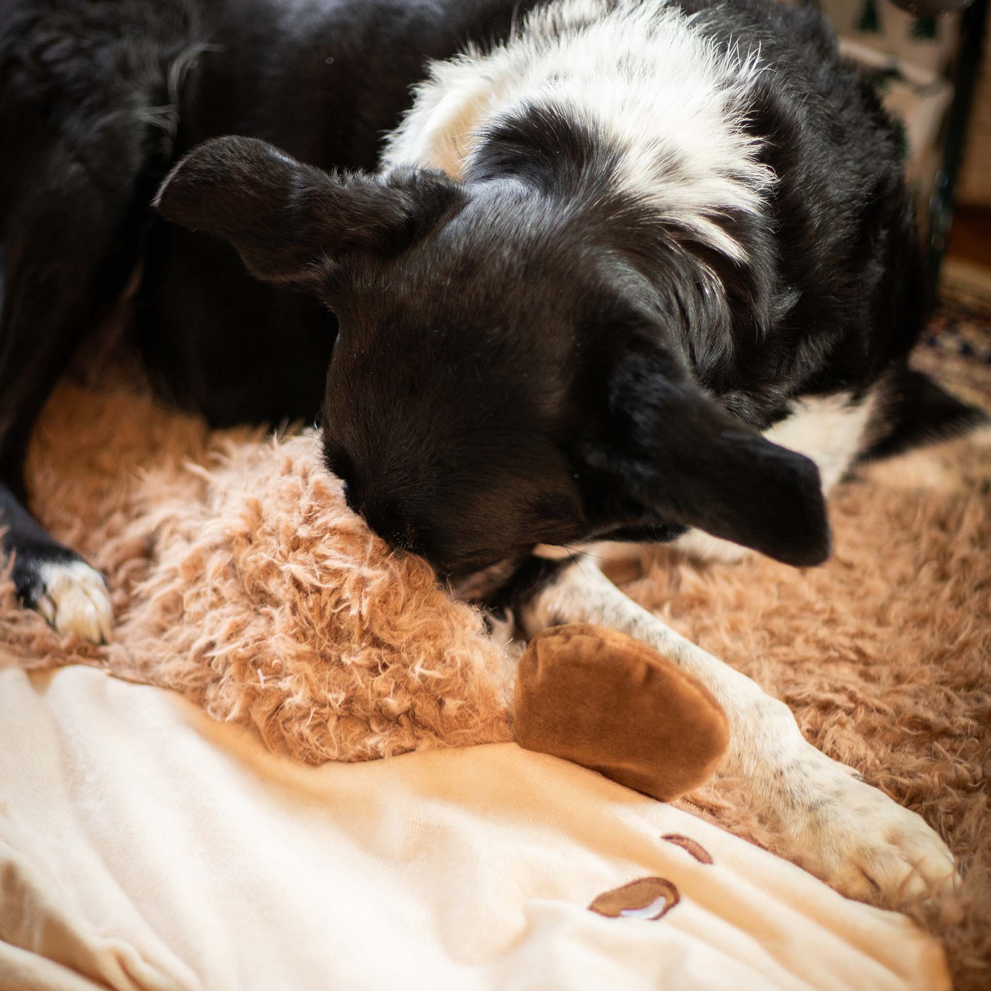 Rosewood 3 in 1 Snuffle and Burrow Hedgehog Blanket - Image 7
