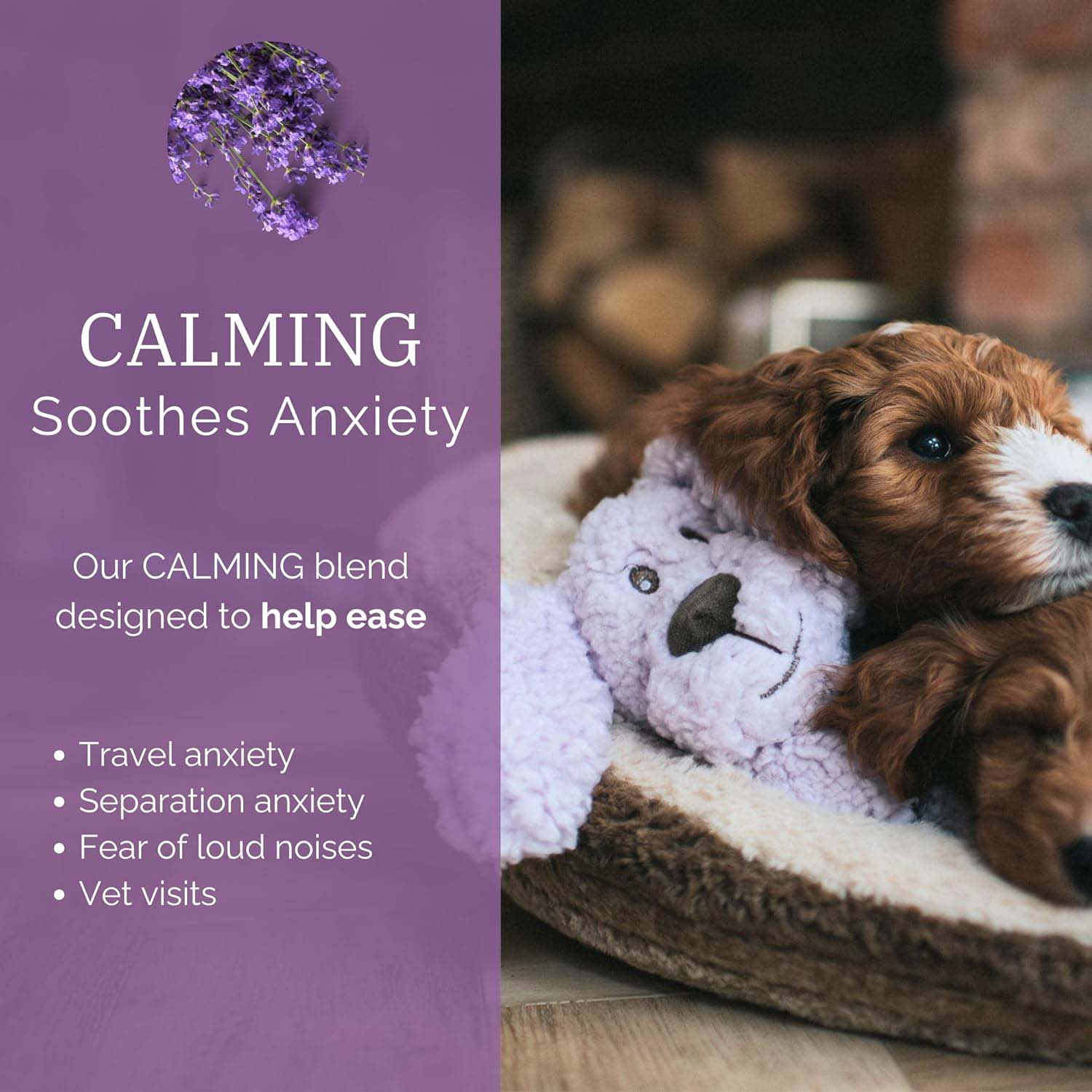 Rosewood Aromadog Calm Fleece Dog Toy - Laying Down Dog - Image 4
