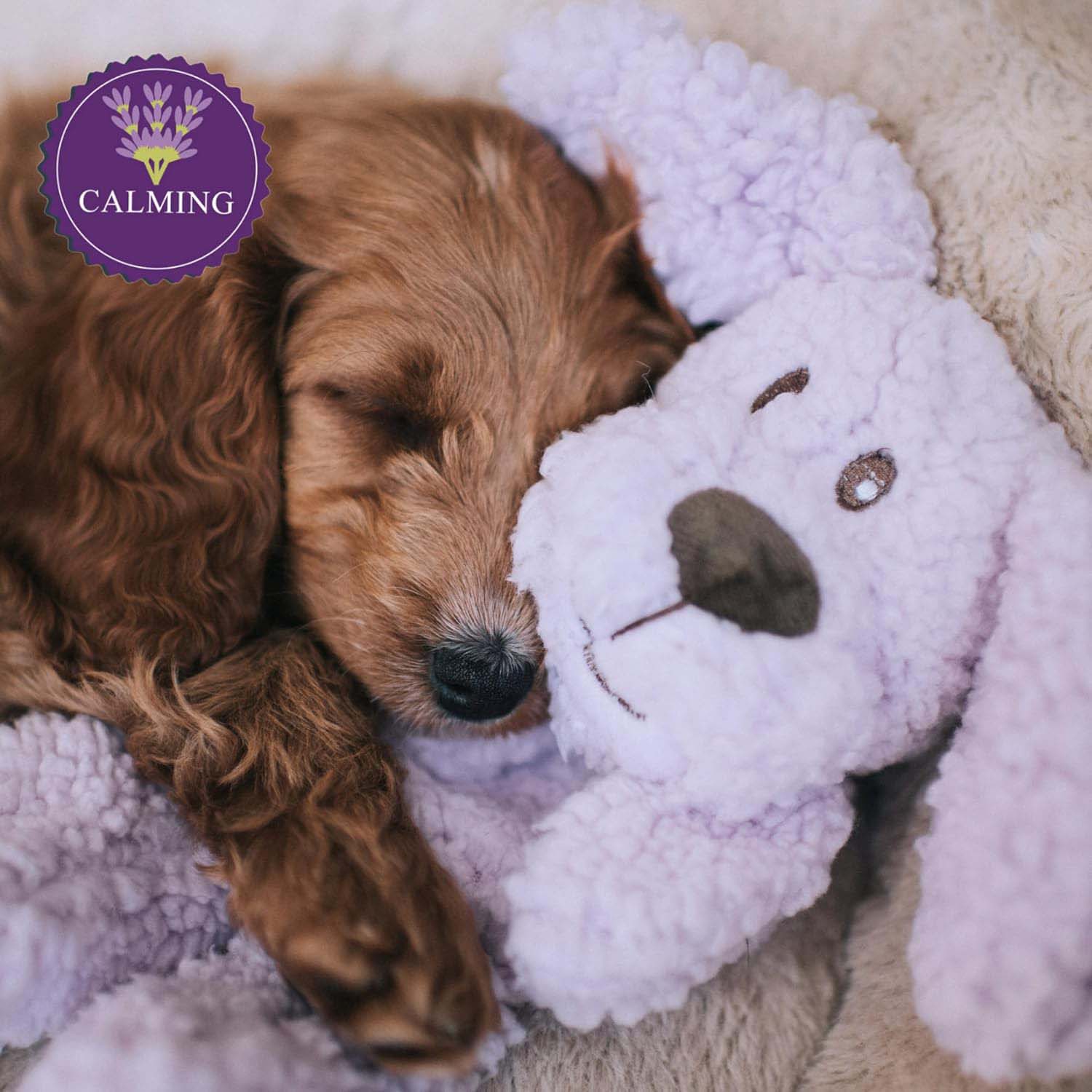 Rosewood Aromadog Calm Fleece Dog Toy - Laying Down Dog - Image 6
