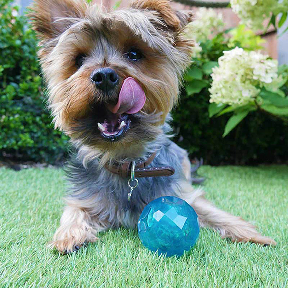 Rosewood Biosafe Puppy Treat Dispensing Toy - Blue - Ball - Image 8