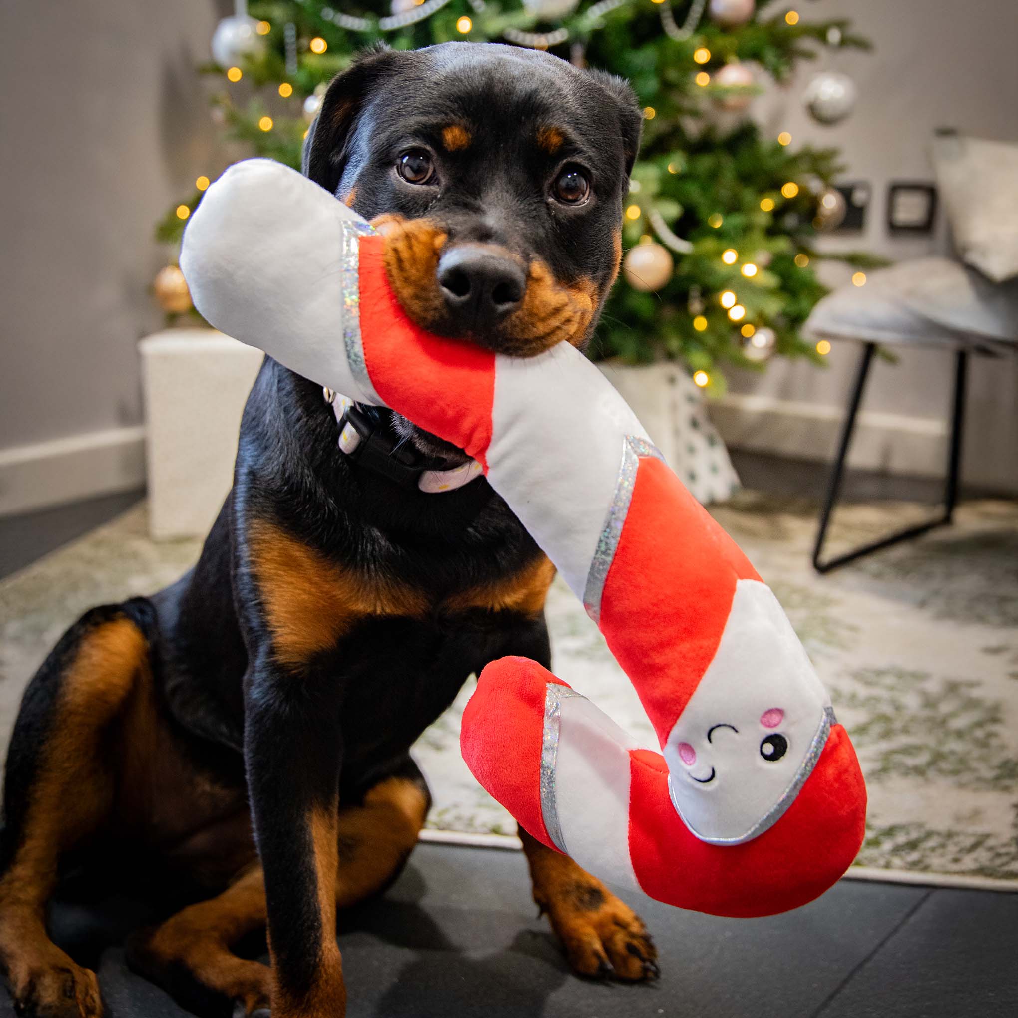 Rosewood Cupid & Comet Candy Cane Christmas Dog Toy - Image 2