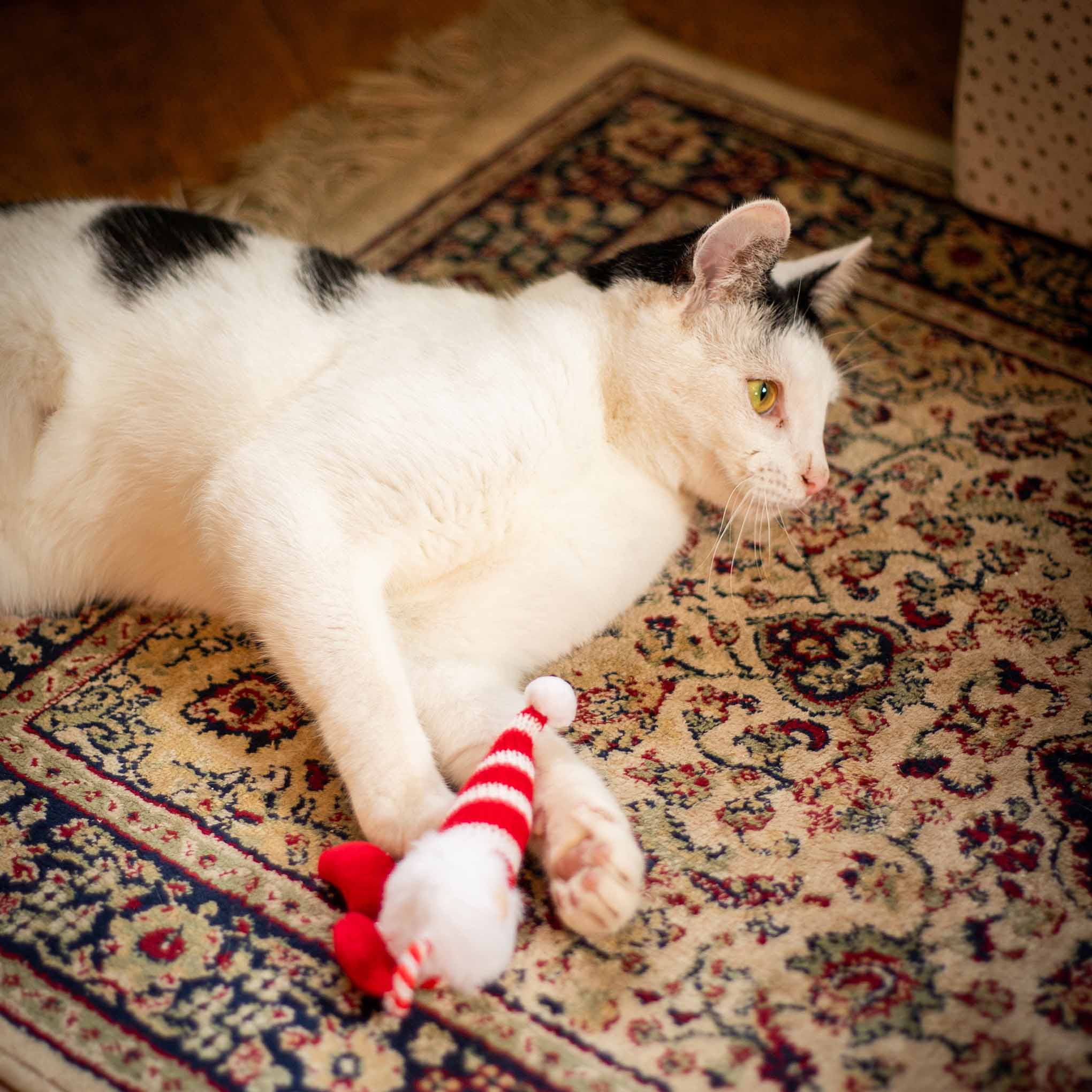 Rosewood Cupid & Comet Gus Gonk Cat Toy - Image 3
