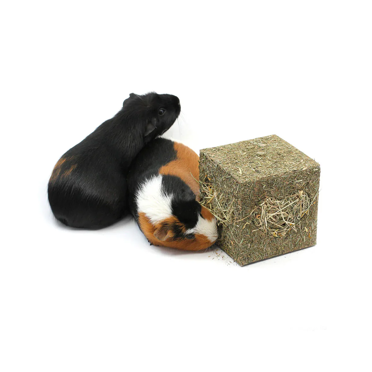 Rosewood Naturals I Love Hay Cube - Medium - Image 2