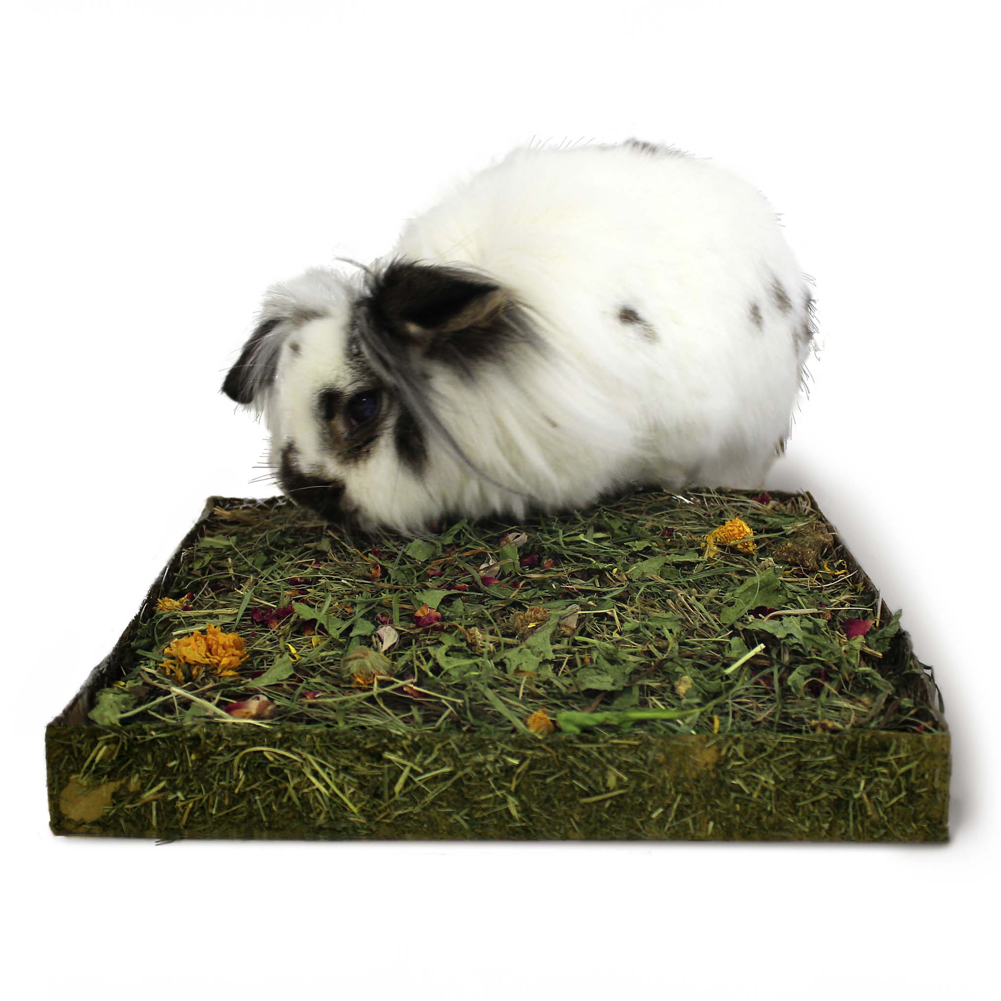 Rosewood Naturals Nibble N Dig Meadow Small Pet Treat - Image 2
