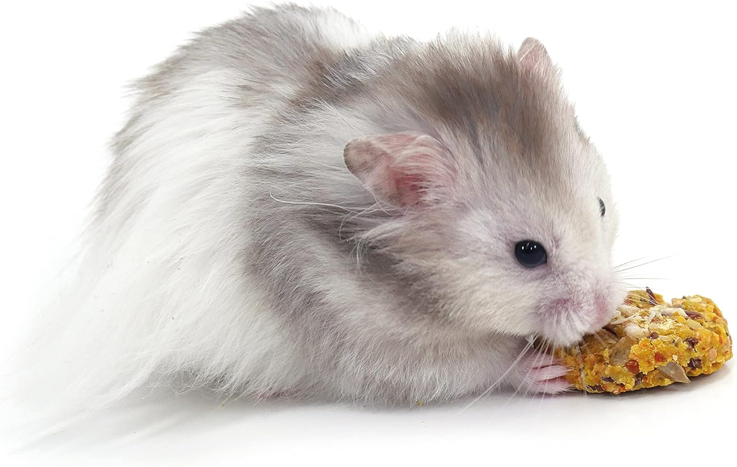 Rosewood Naturals Papaya 'N' Peanut Cookies for Small Animals - Image 2
