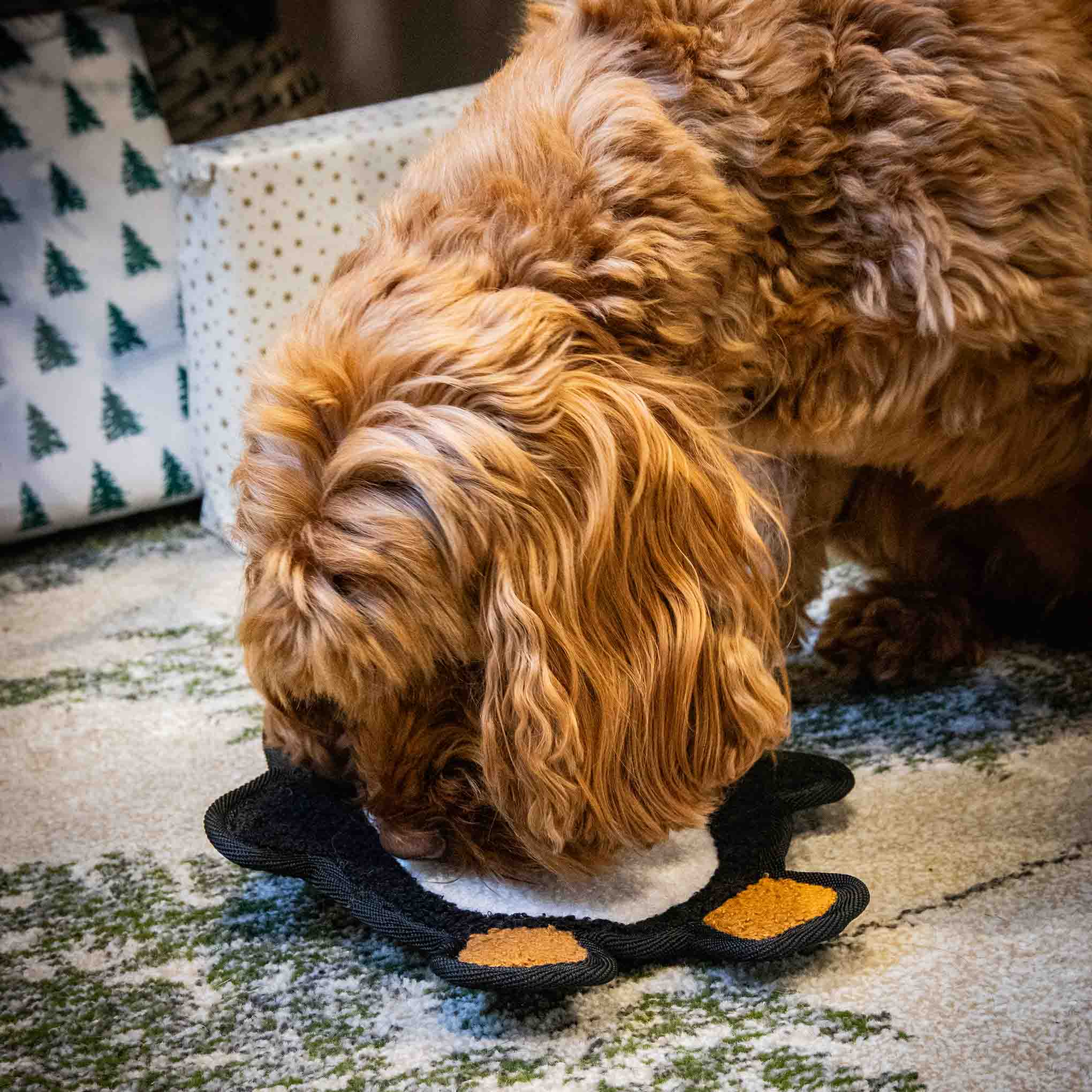 Rosewood Tufflove Penguin Flattie Dog Toy - Image 3