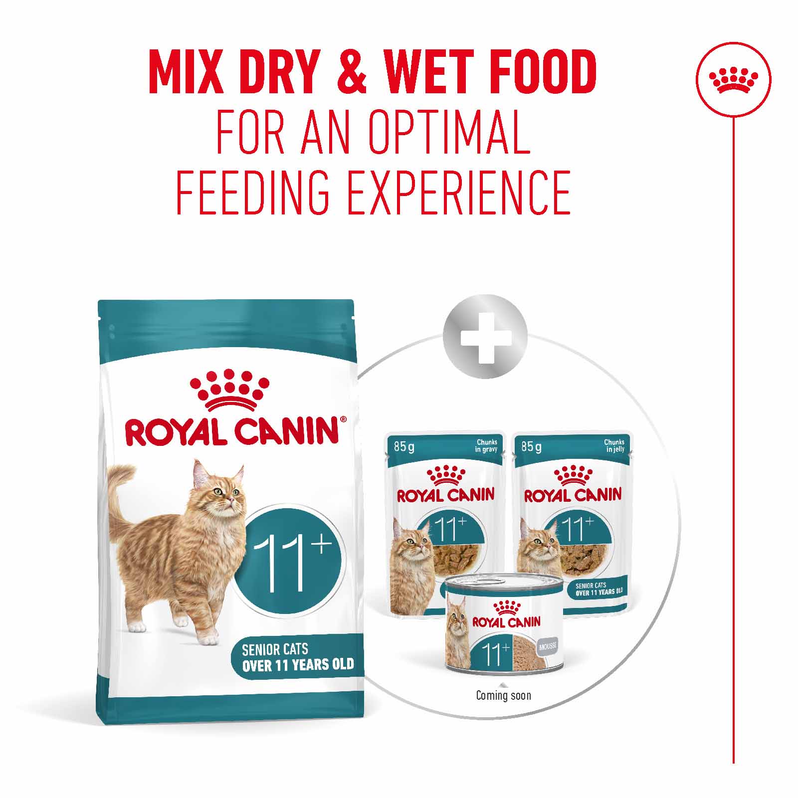Royal Canin Ageing 11+ Senior Dry Cat Food - Image 6