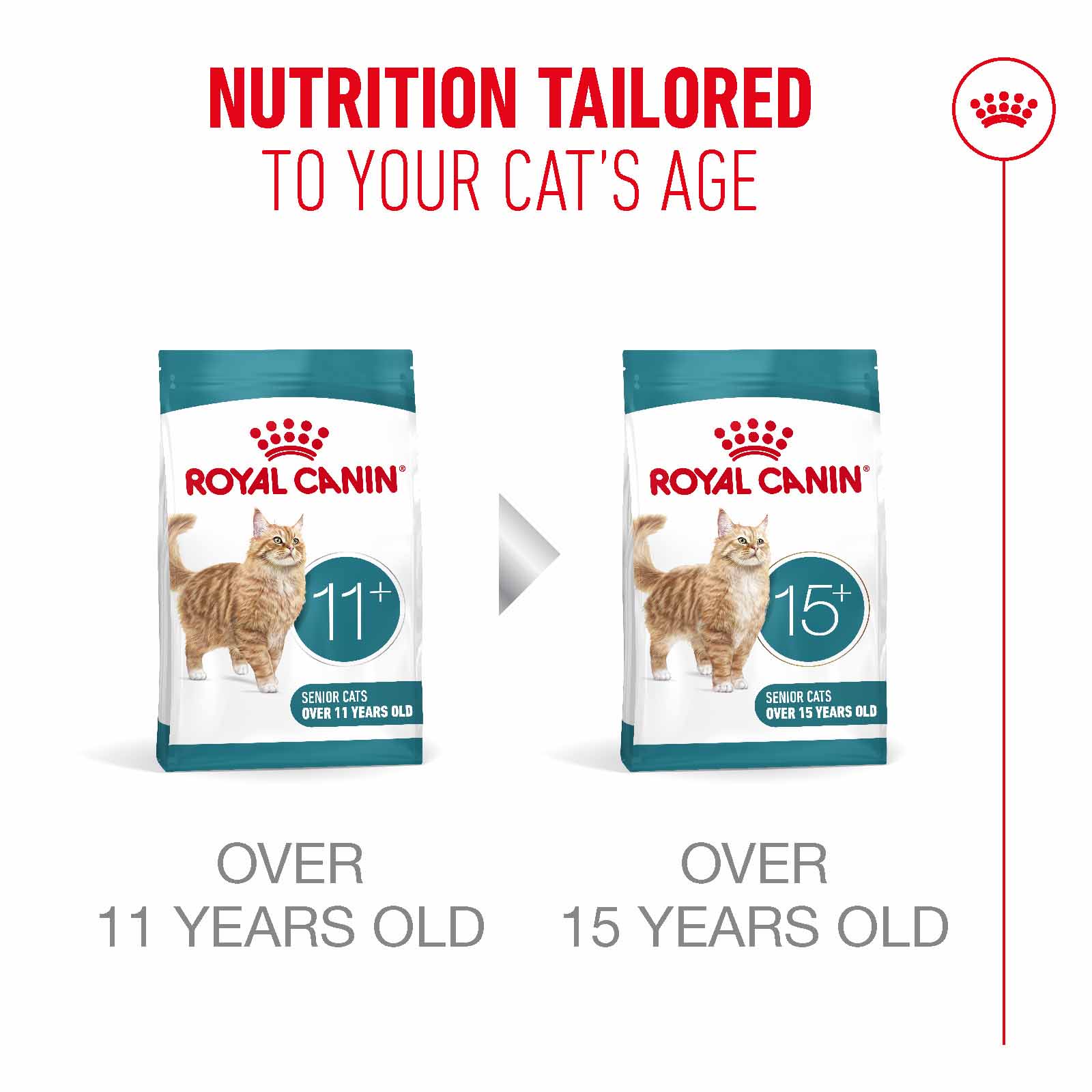Royal Canin Ageing 11+ Senior Dry Cat Food - Image 7