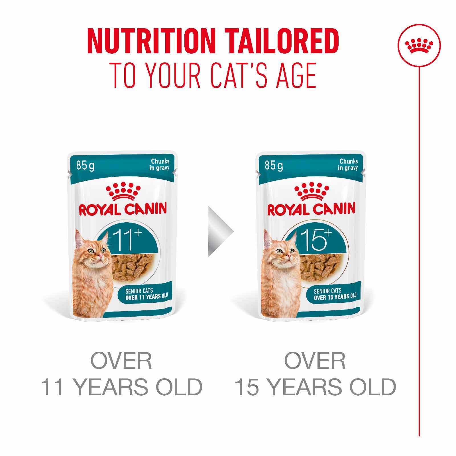 Royal Canin Ageing 11+ Senior Wet Cat Food Chunks in Gravy - Image 6
