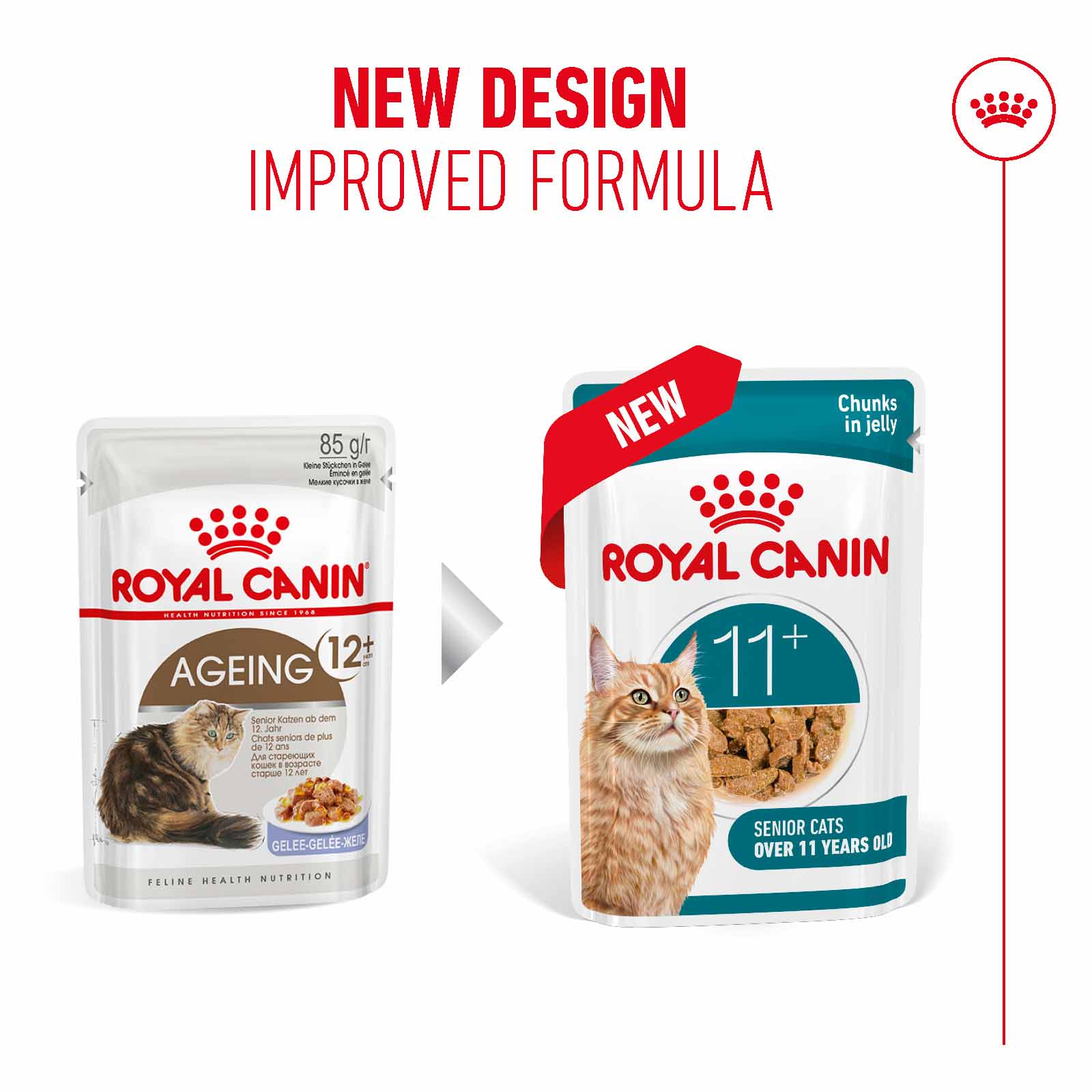 Royal Canin Ageing 11+ Senior Wet Cat Food Chunks in Jelly - 12x85g Pouches - Image 10
