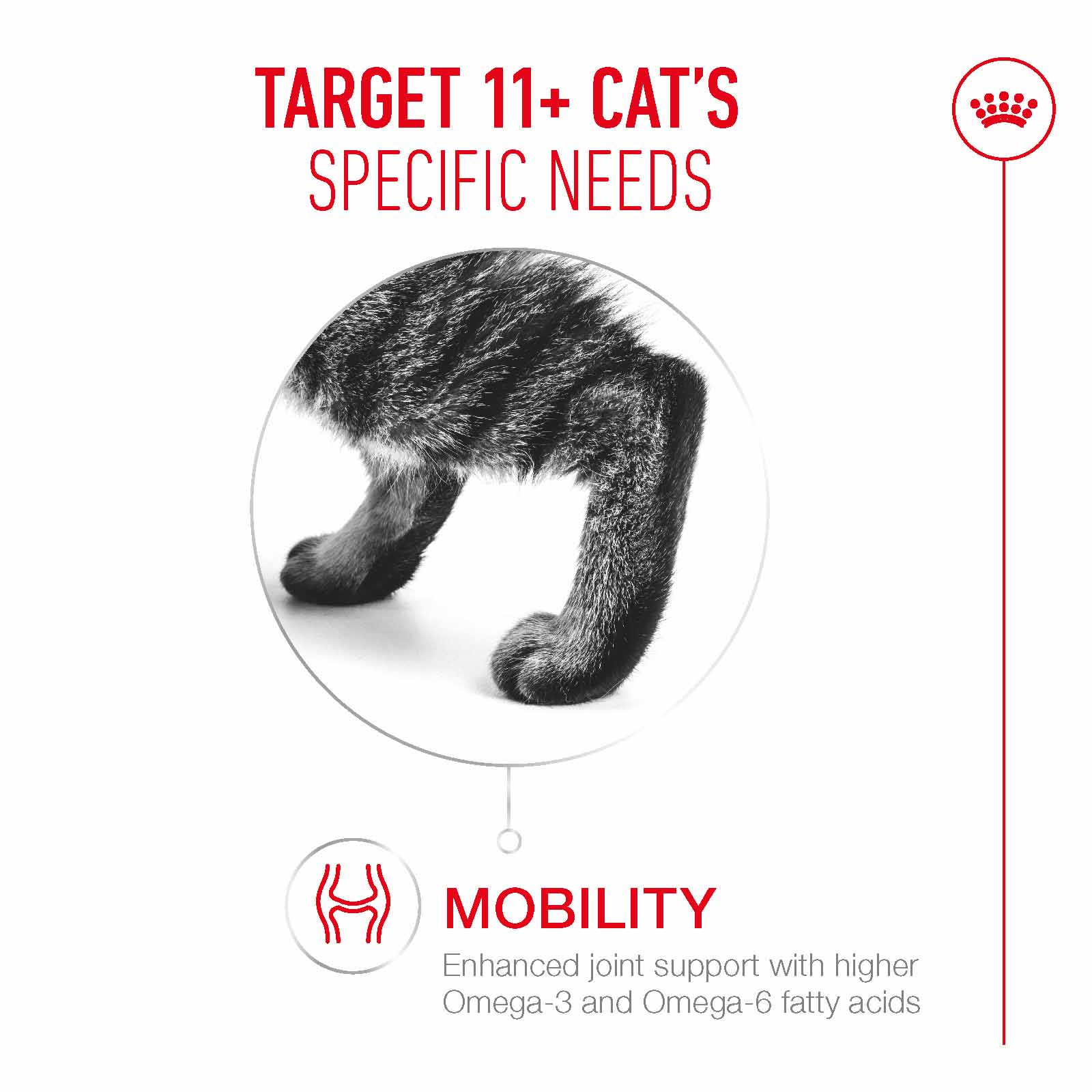 Royal Canin Ageing 11+ Senior Wet Cat Food Chunks in Jelly - 12x85g Pouches - Image 3