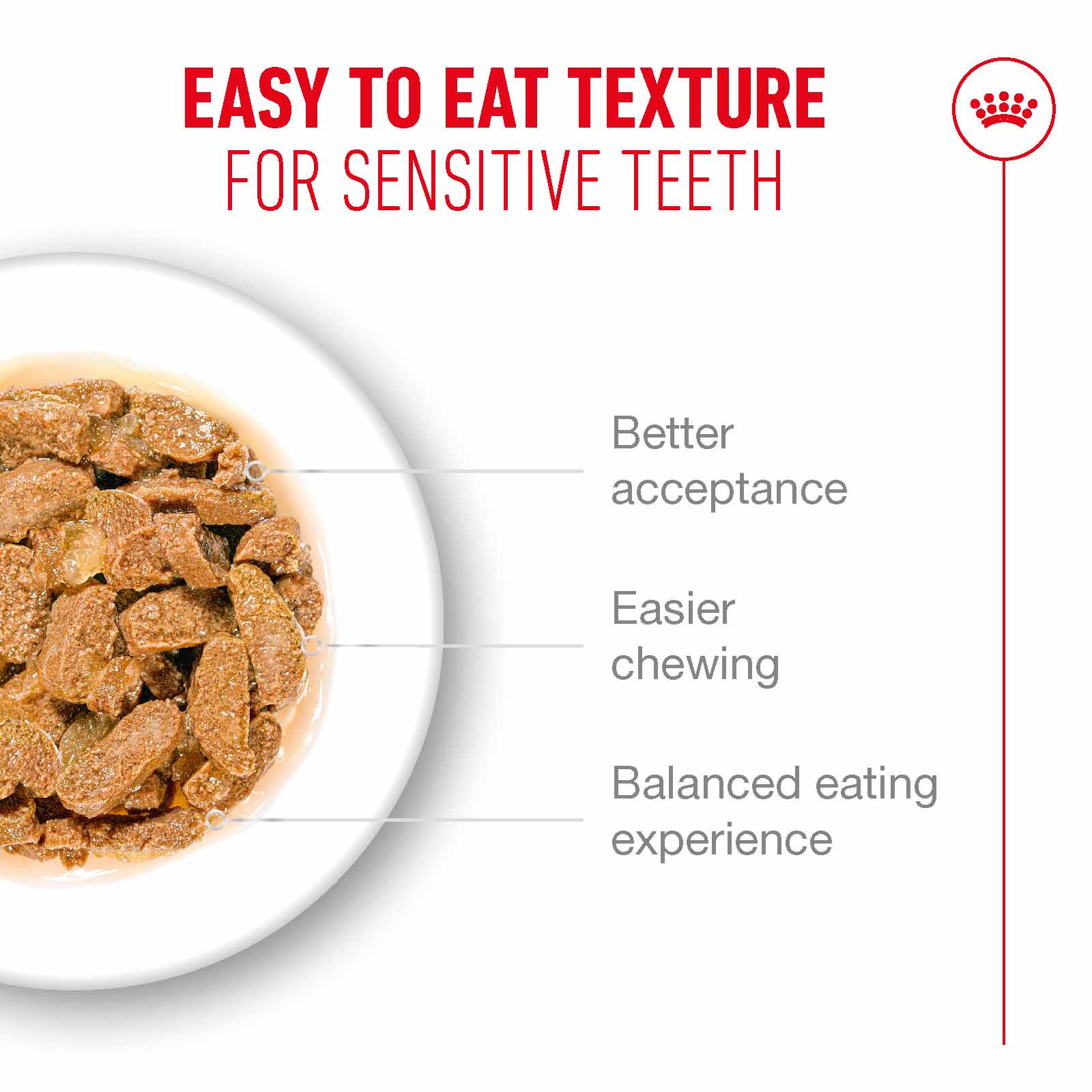 Royal Canin Ageing 11+ Senior Wet Cat Food Chunks in Jelly - 12x85g Pouches - Image 5