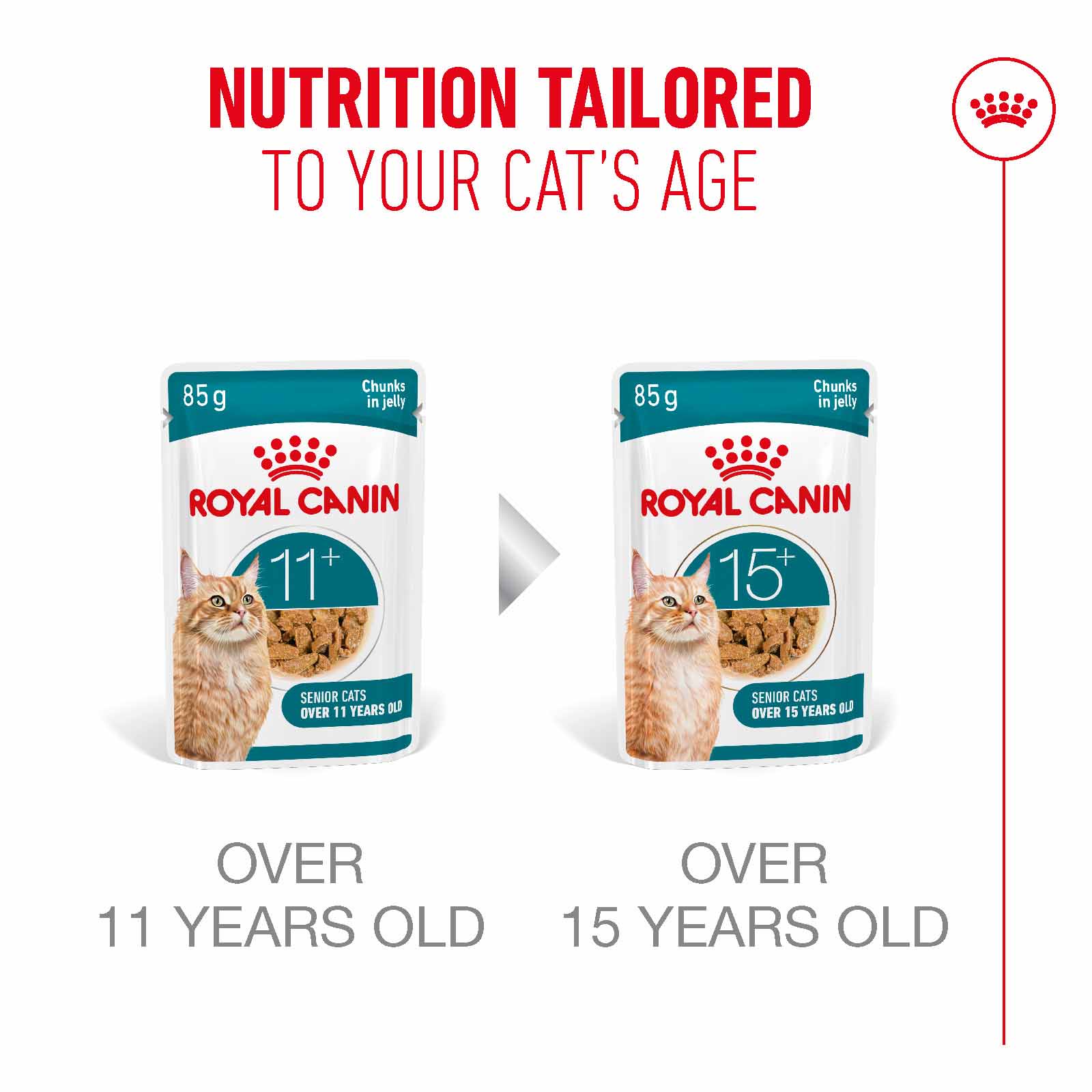 Royal Canin Ageing 11+ Senior Wet Cat Food Chunks in Jelly - 12x85g Pouches - Image 6