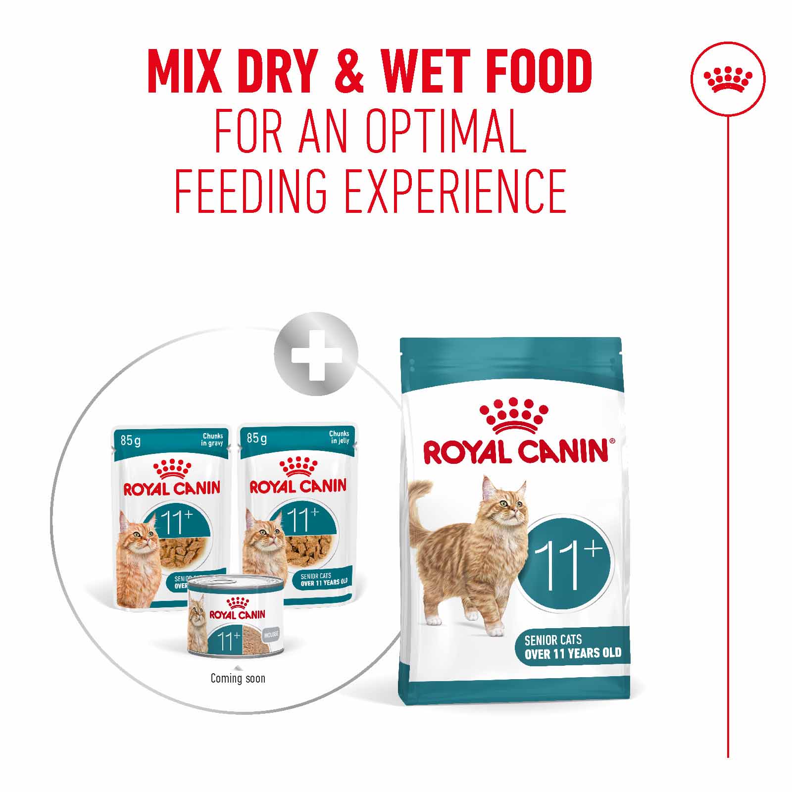 Royal Canin Ageing 11+ Senior Wet Cat Food Chunks in Jelly - 12x85g Pouches - Image 7