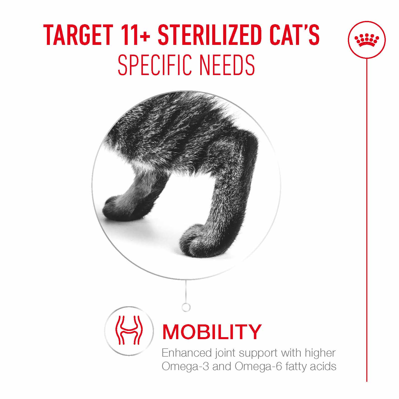 Royal Canin Ageing 11+ Sterilised Senior Dry Cat Food - Image 13