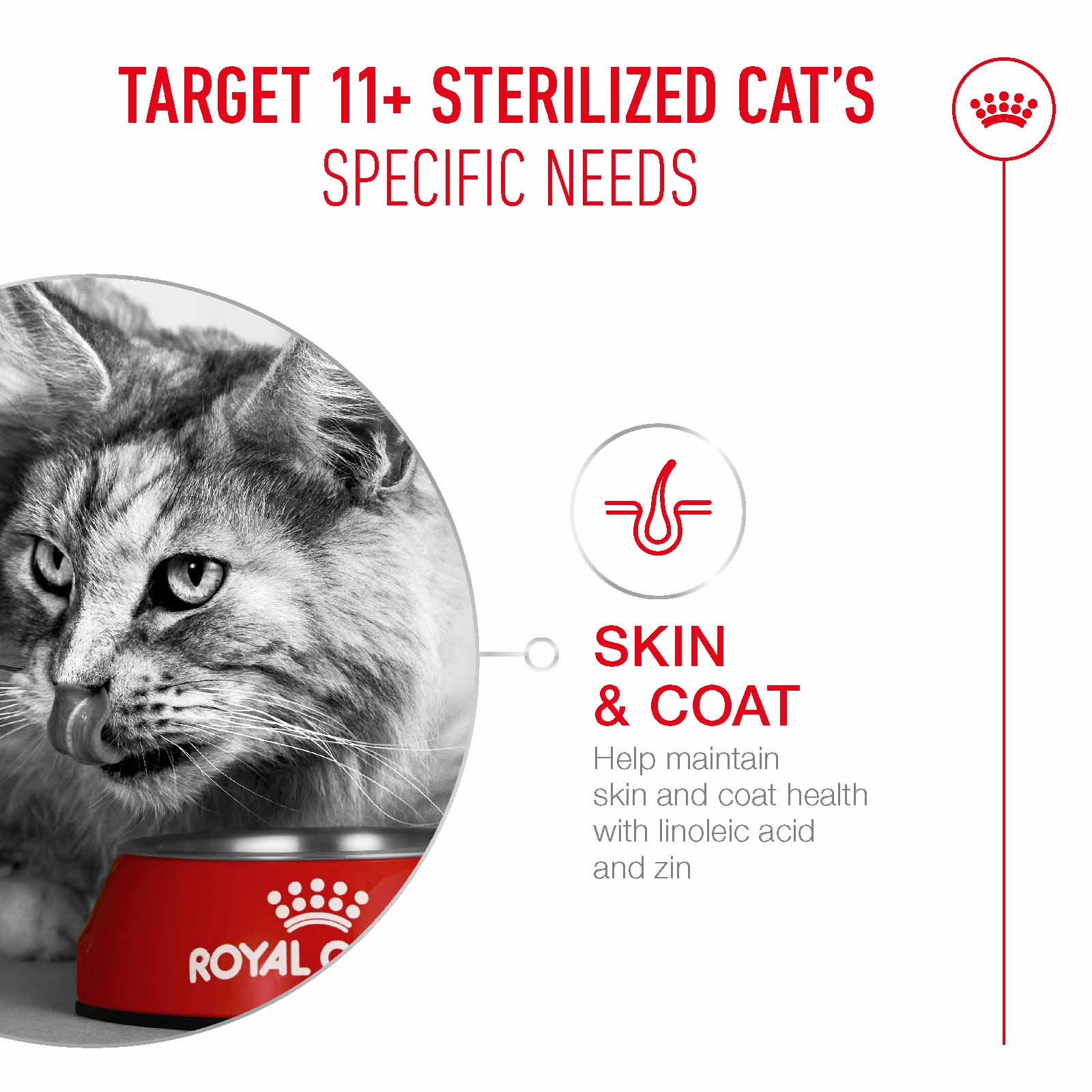 Royal Canin Ageing 11+ Sterilised Senior Dry Cat Food - Image 9