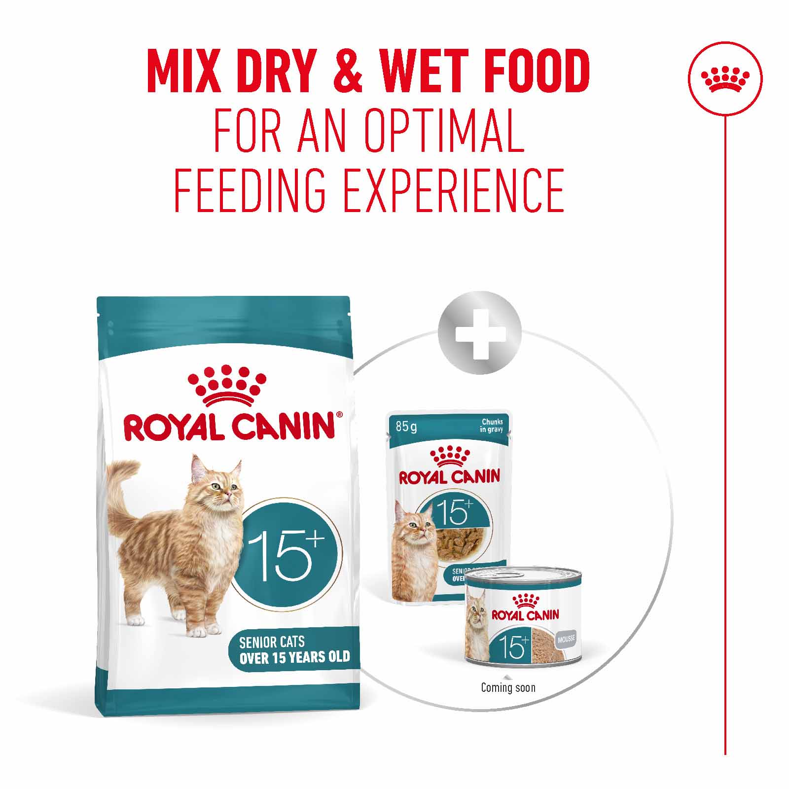 Royal Canin Ageing 15+ Senior Dry Cat Food - Image 5