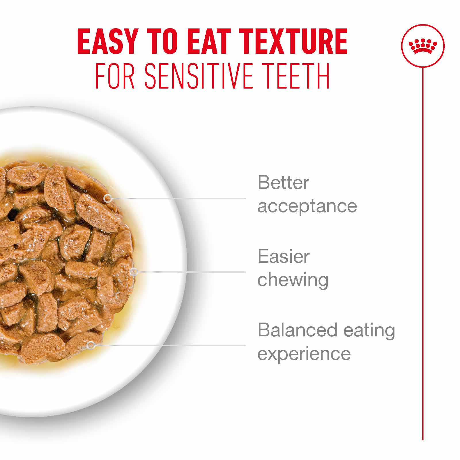 Royal Canin Ageing 15+ Senior Wet Cat Food Chunks in Gravy - 12x85g Pouches - Image 5