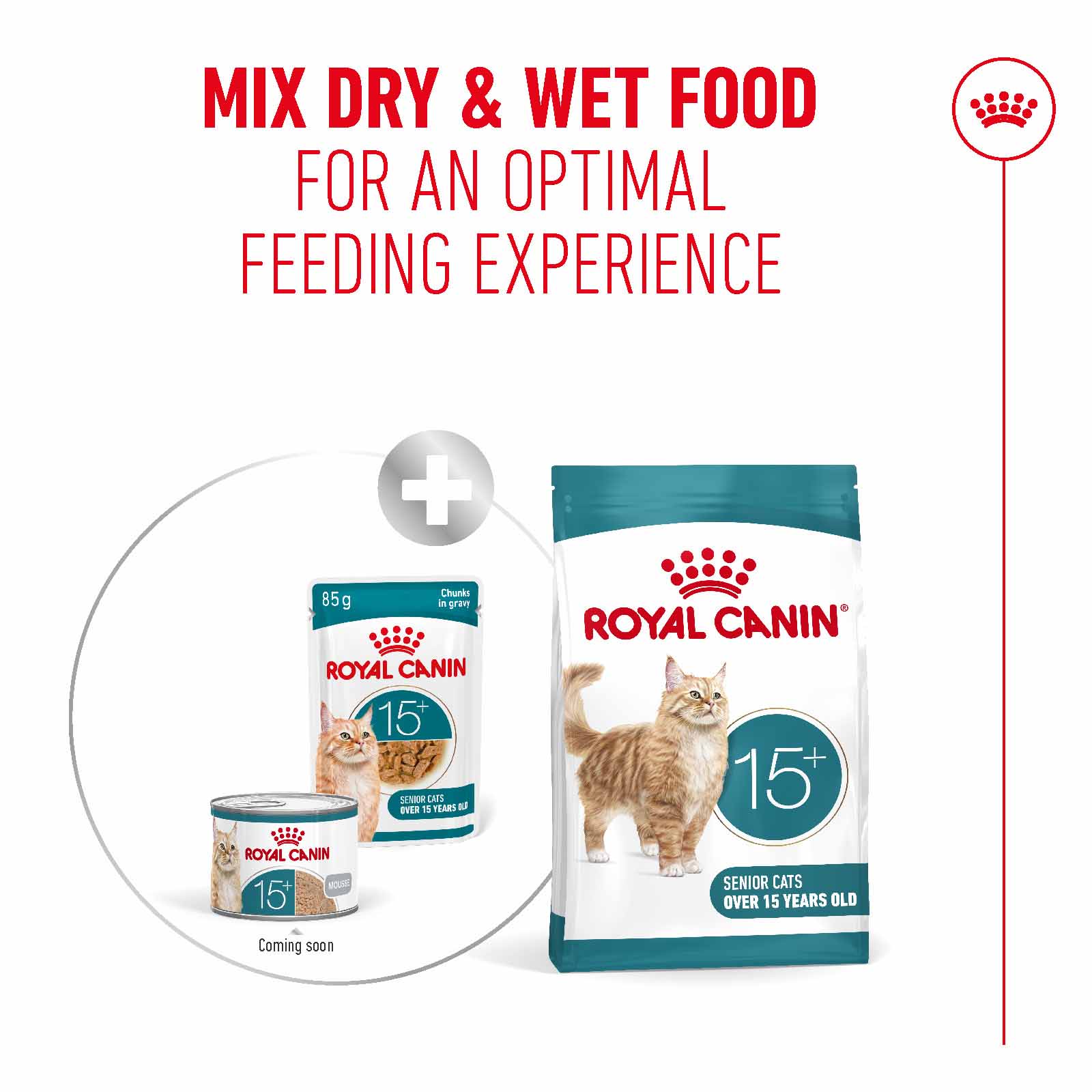 Royal Canin Ageing 15+ Senior Wet Cat Food Chunks in Gravy - 12x85g Pouches - Image 6