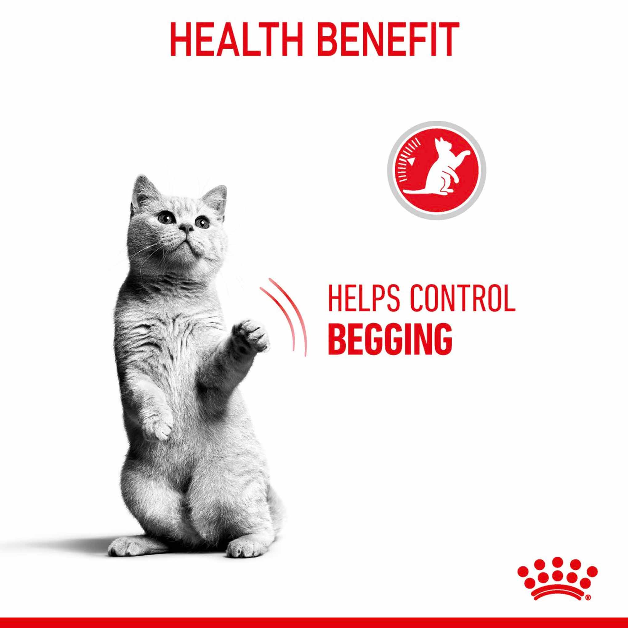 ROYAL CANIN Appetite Control Care Adult Dry Cat Food - Image 4