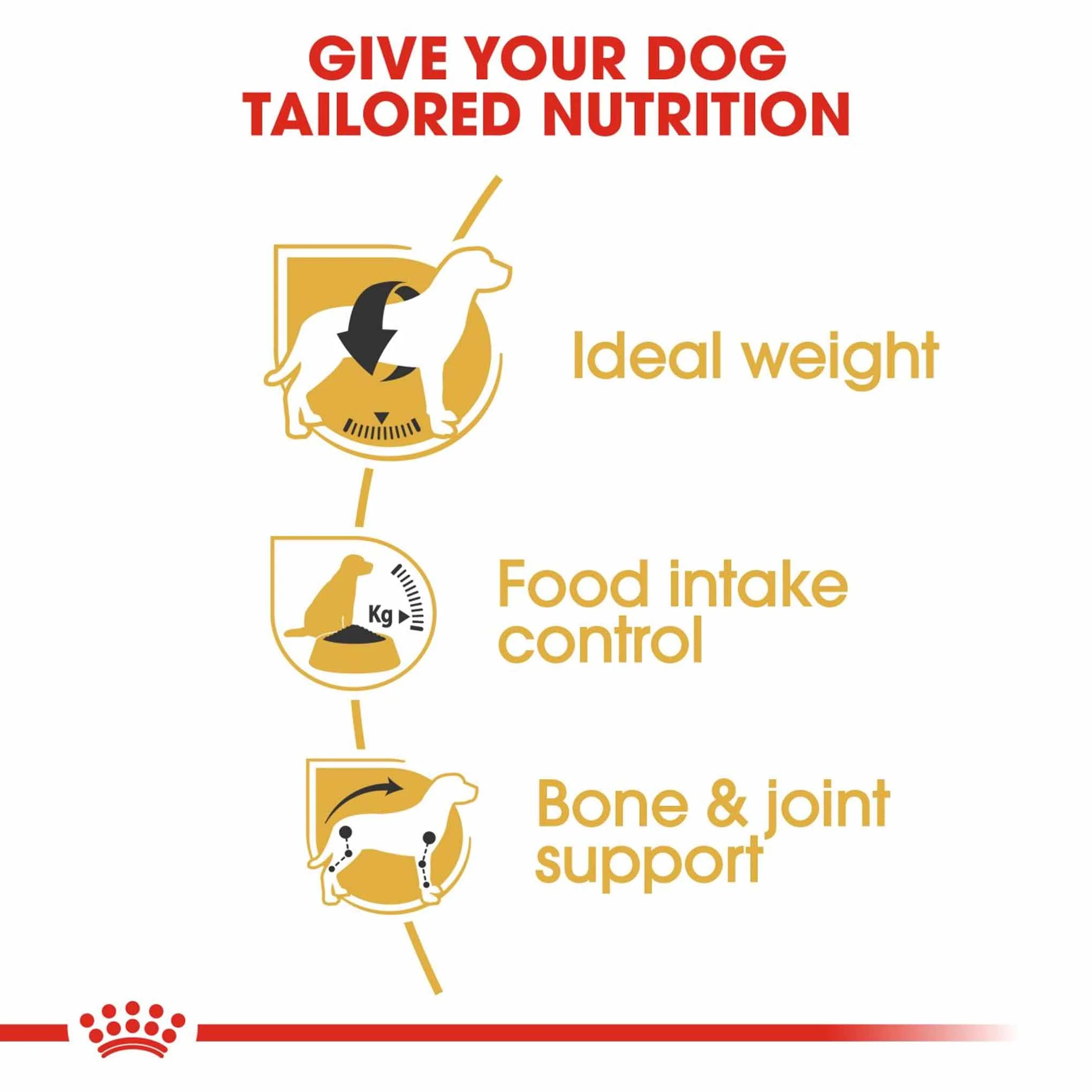 Royal Canin Breed Health Nutrition Beagle Adult Dry Dog Food - Image 5