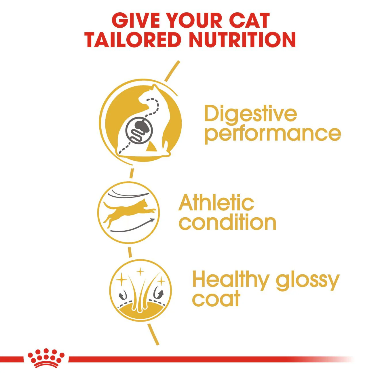 ROYAL CANIN Breed Health Nutrition Bengal Adult Dry Cat Food - Image 3