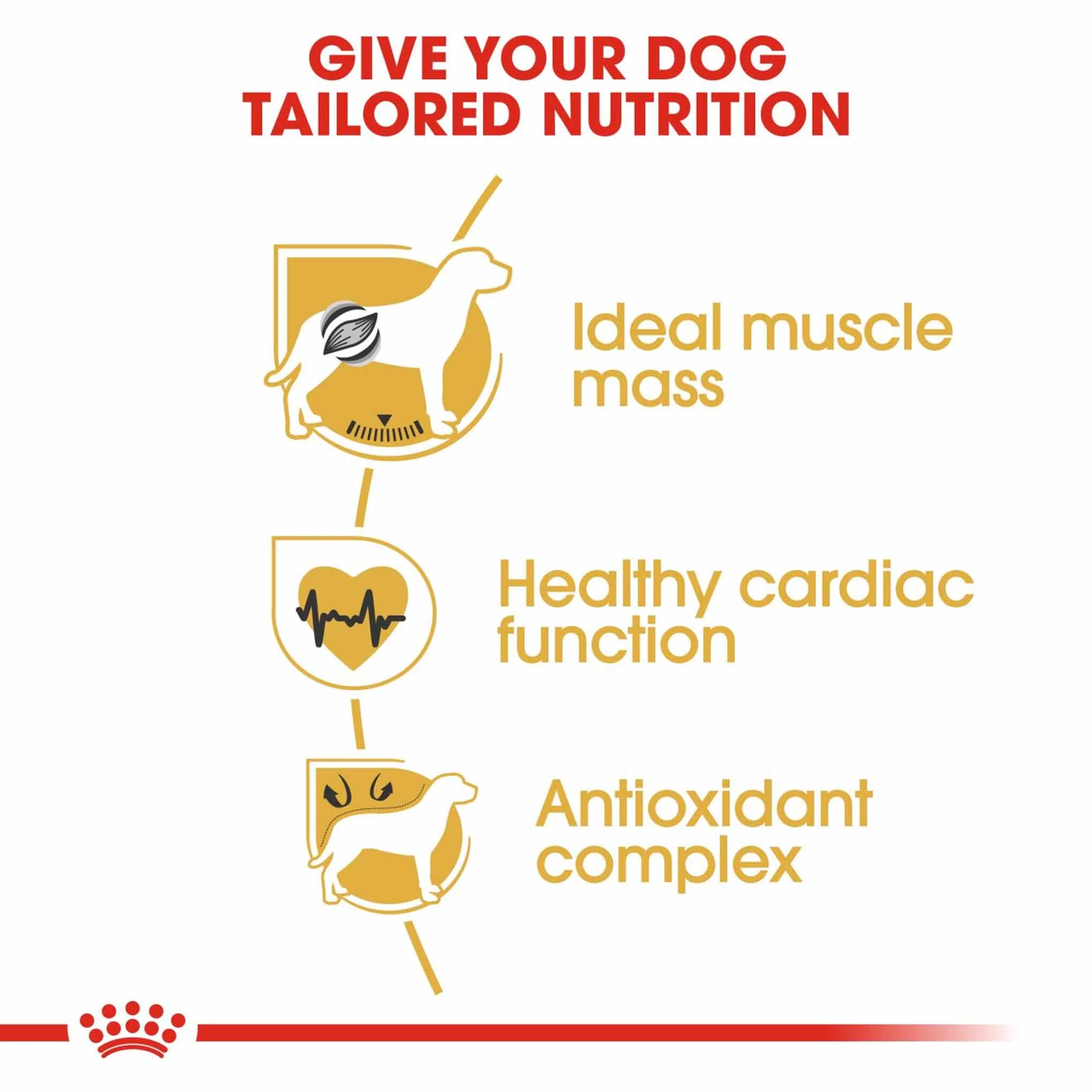 Royal Canin Breed Health Nutrition Boxer Adult Dry Dog Food - Image 5