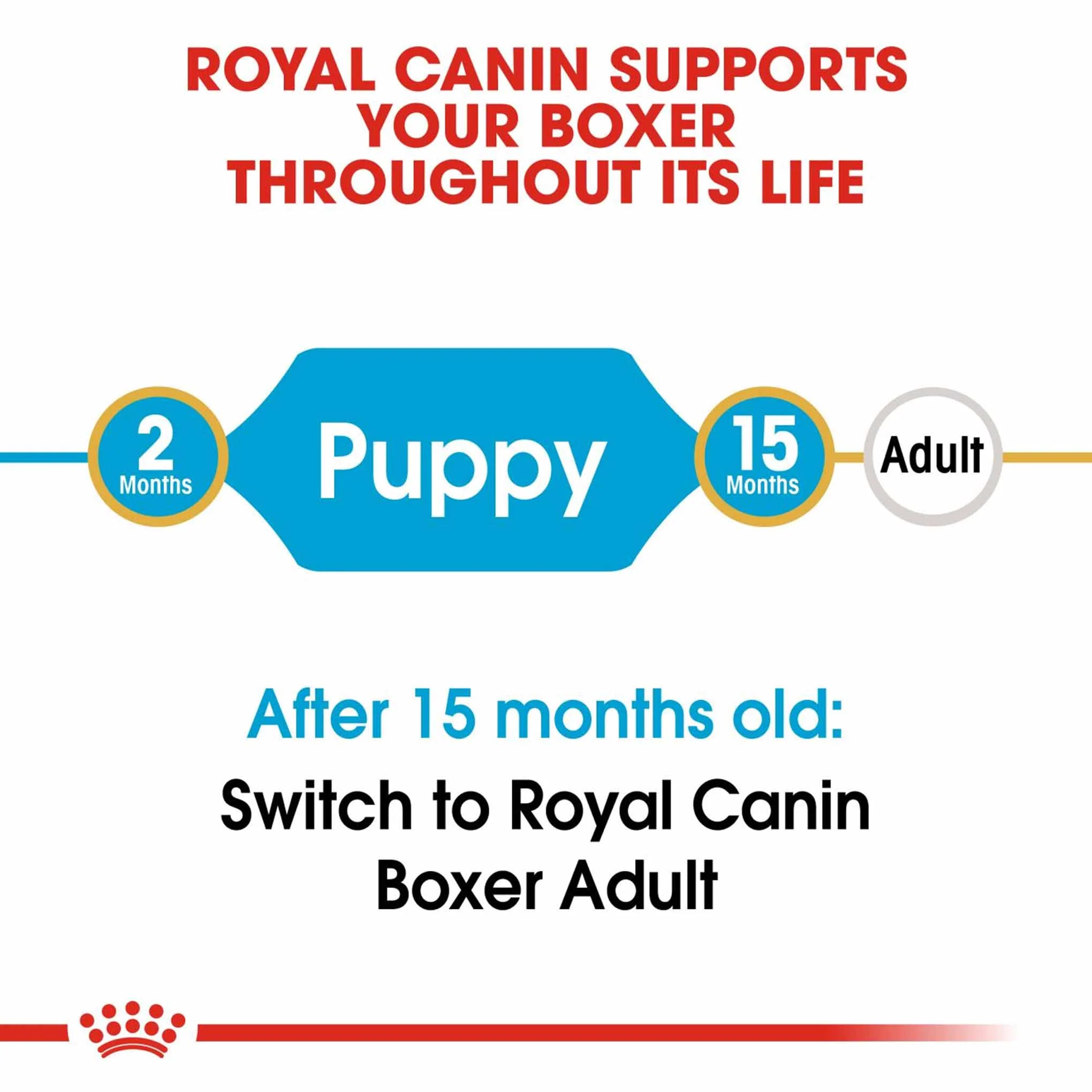 Royal Canin Breed Health Nutrition Boxer Puppy Dry Dog Food - Image 3