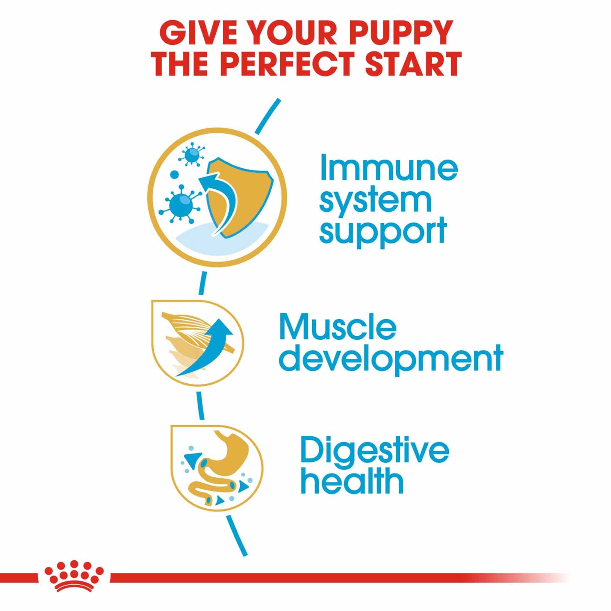 Royal Canin Breed Health Nutrition Boxer Puppy Dry Dog Food - Image 5