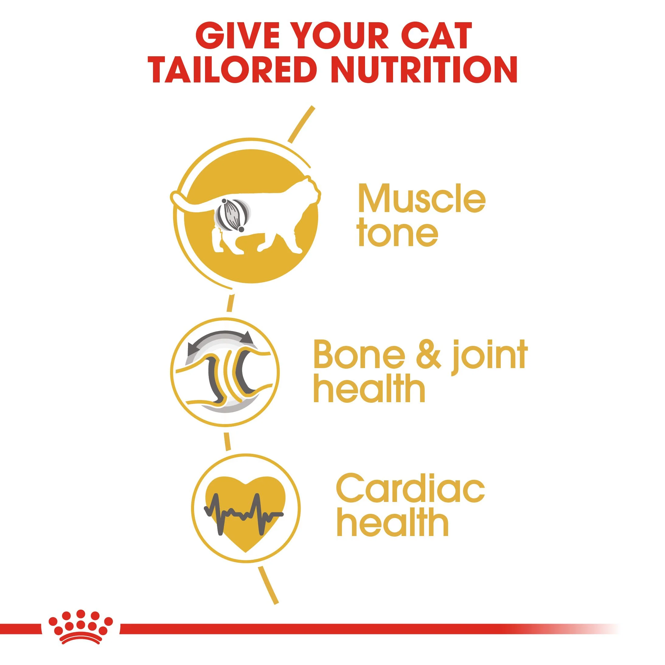 Royal Canin Breed Health Nutrition British Shorthair Dry Adult Cat Food - Image 3