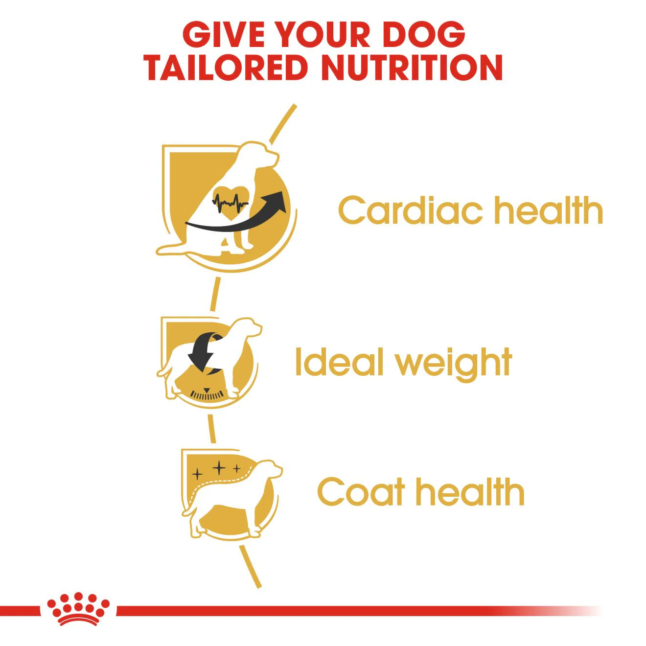 Royal Canin Breed Health Nutrition Cavalier King Charles Adult Dry Dog Food - Image 5